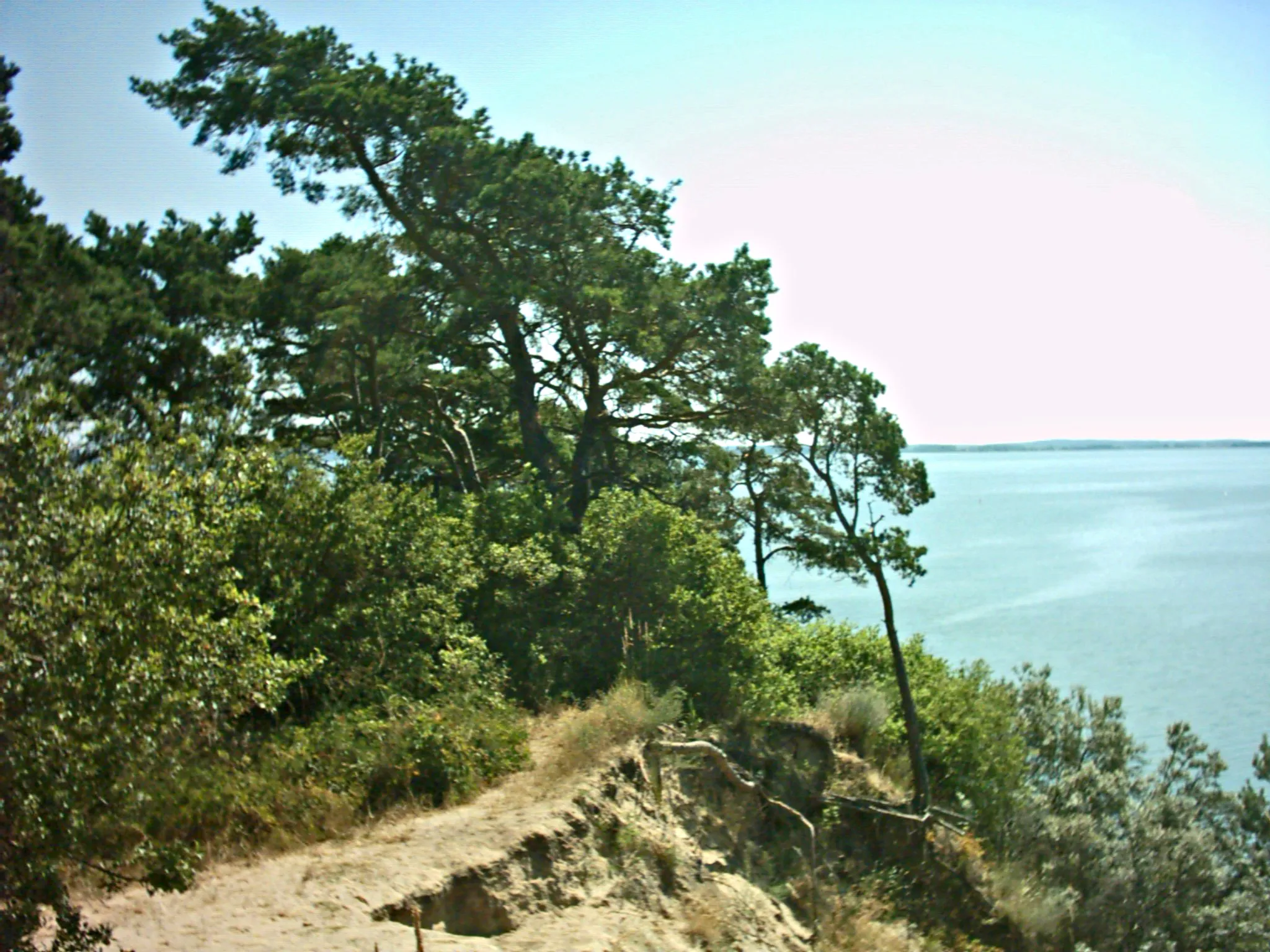 Photo showing: Loddiner Höft am Achterwasser in Loddin (Usedom), Deutschland.