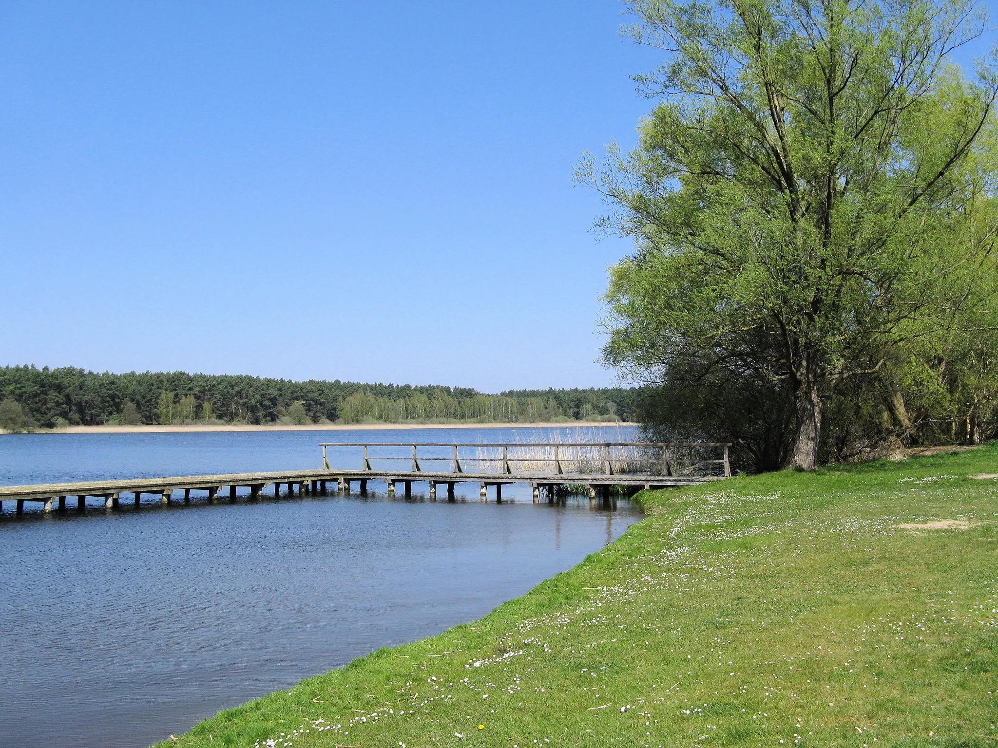 Photo showing: Lake Barniner See in Barnin, disctrict Parchim, Mecklenburg-Vorpommern, Germany