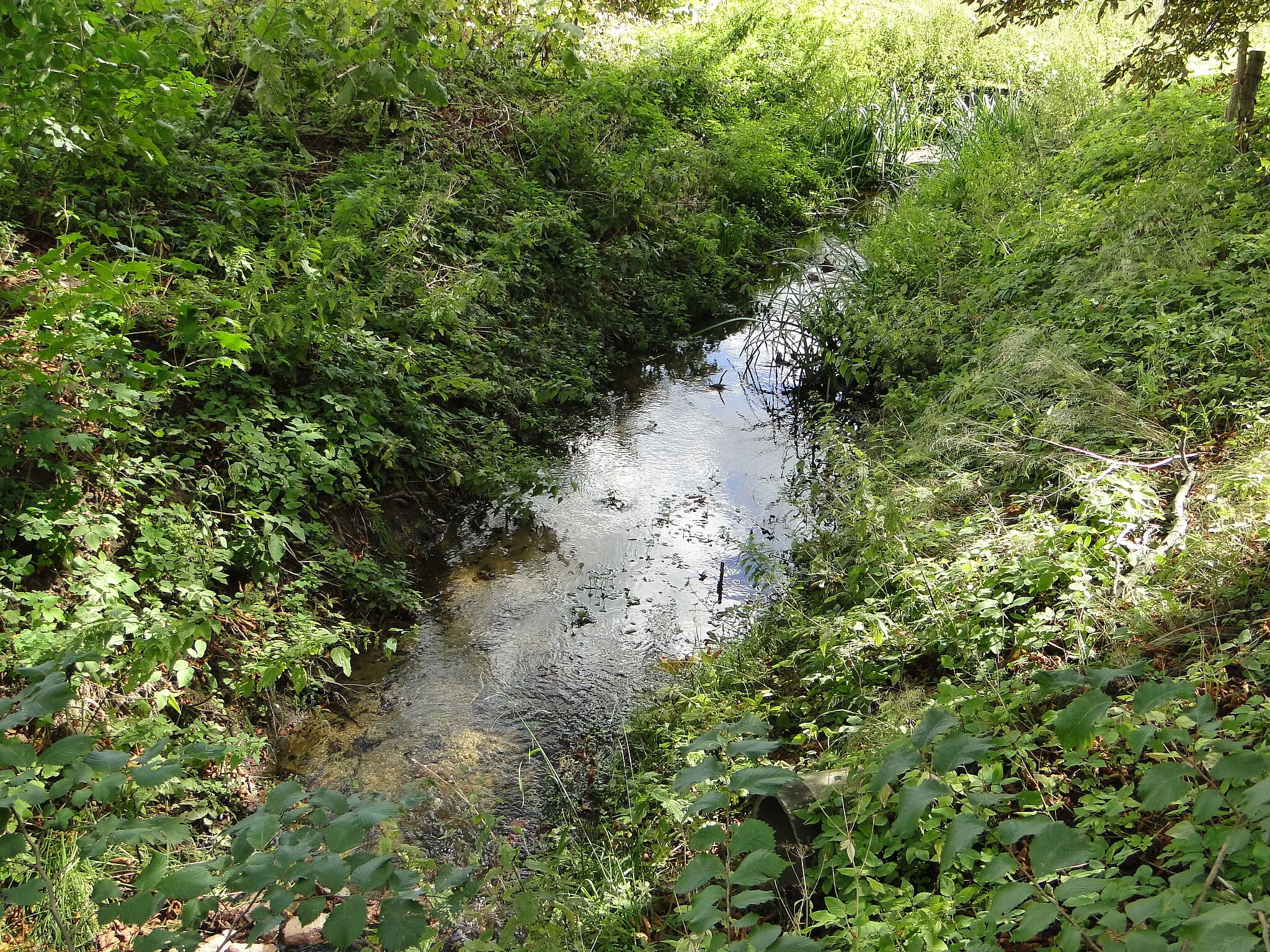 Photo showing: Ditch in Marihn, district Mecklenburgische Seenplatte, Mecklenburg-Vorpommern, Germany