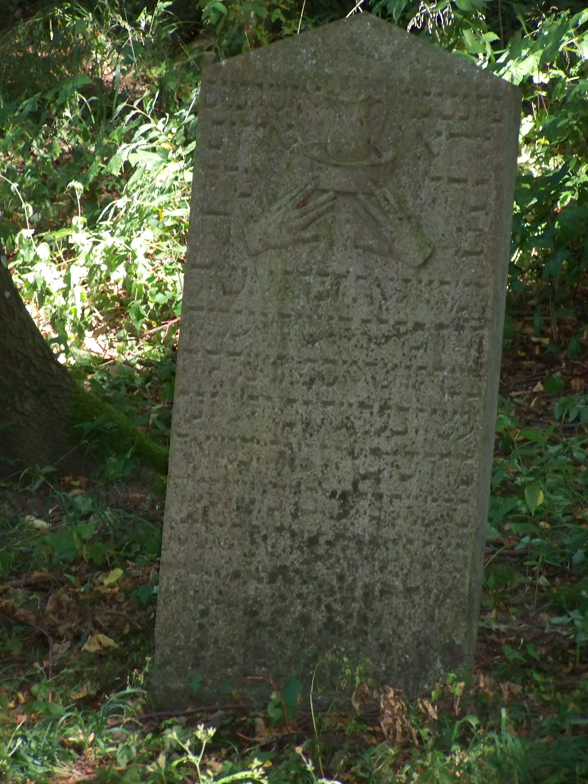 Photo showing: Niederhof, Vorpommern, Jüdischer Friedhof, Grabstein