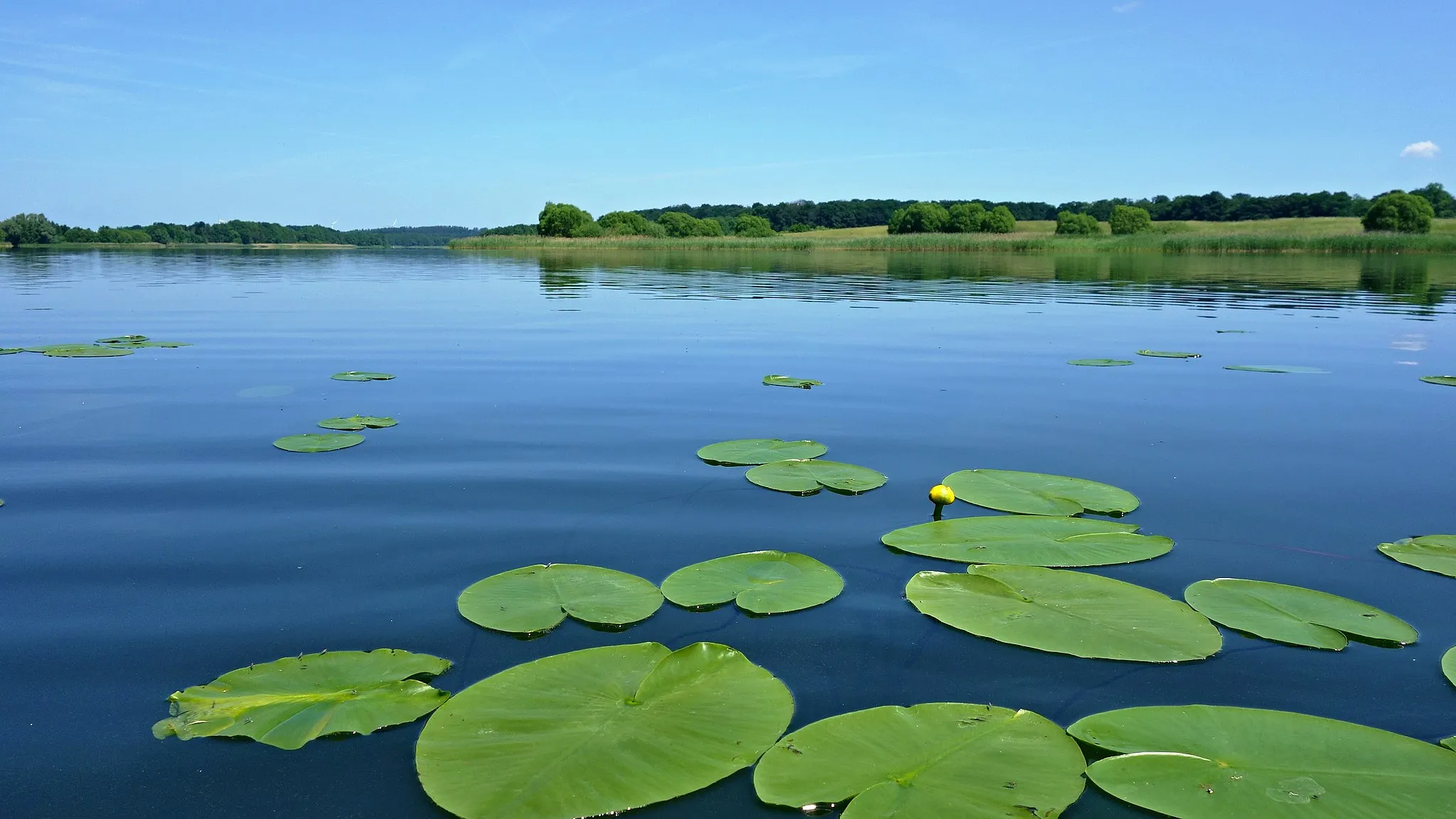 Photo showing: Blick über den See von Süden am Ortsausgang Hohen Sprenz. Teil des Landschaftsschutzgebiets "Dolgener und Hohen Sprenzer See" (L 28a)