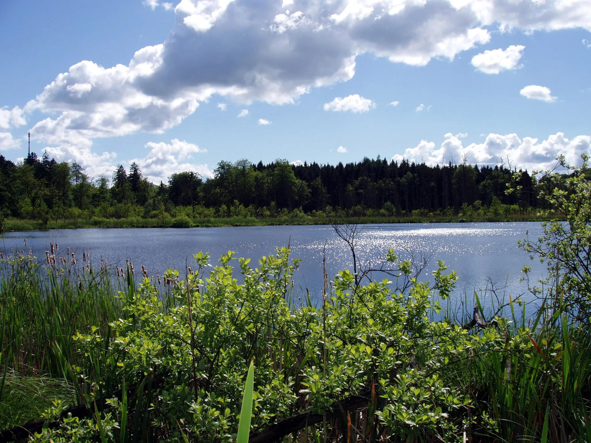 Photo showing: Schwarzer See (Schlemmin, Bernitt, Mecklenburg-Vorpommern)