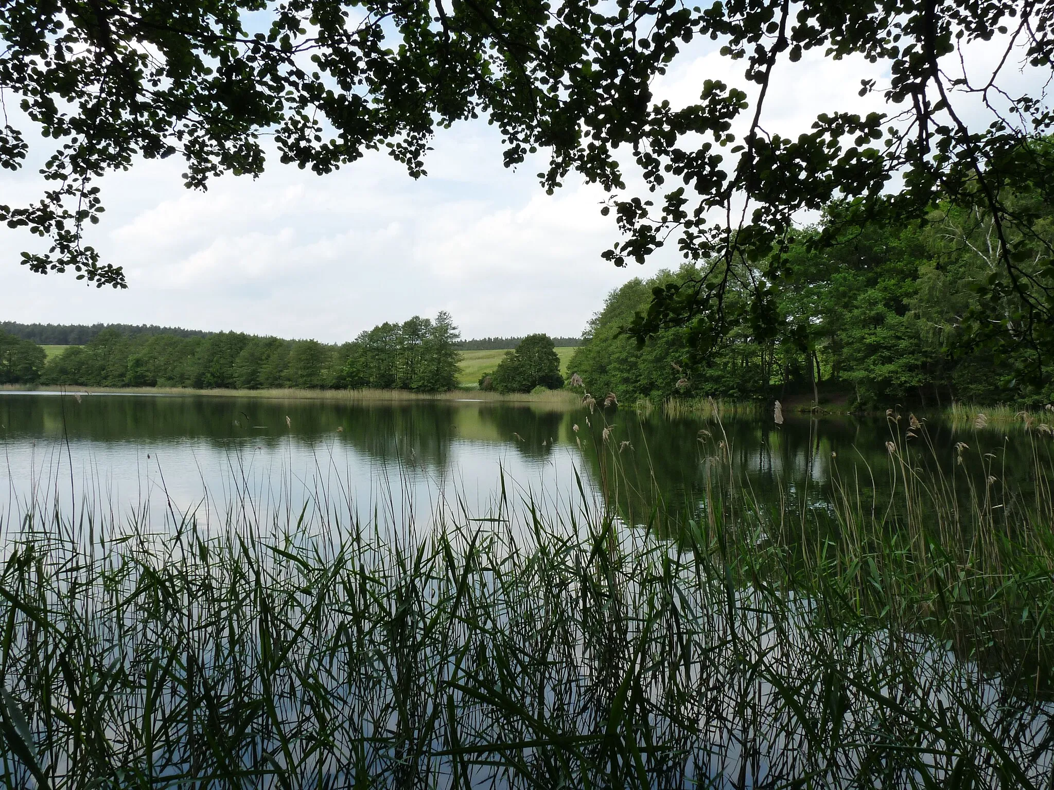 Photo showing: Der Glammsee in Mecklenburg, in Nähe des Dorfes Witzin, und nicht zu verwechseln mit dem gleichnamigen See bei der mecklenburgischen Stadt Warin.