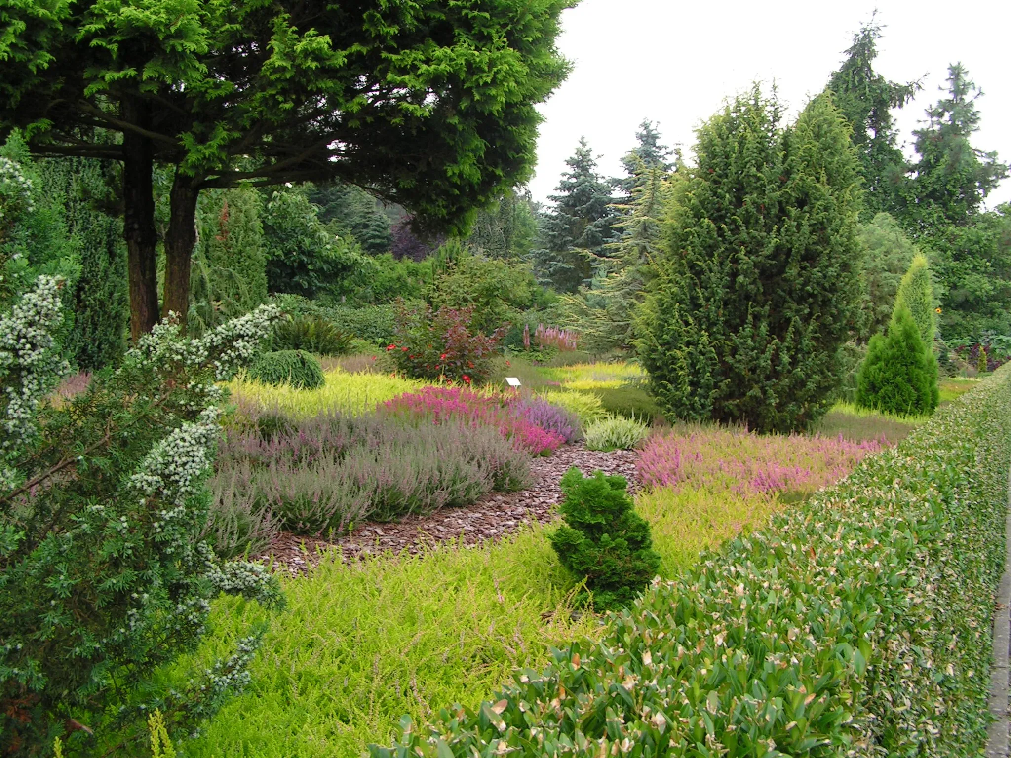 Photo showing: Botanischer Garten Christiansberg, Gemeinde Luckow, Landkreis Uecker-Randow (Vorpommern).