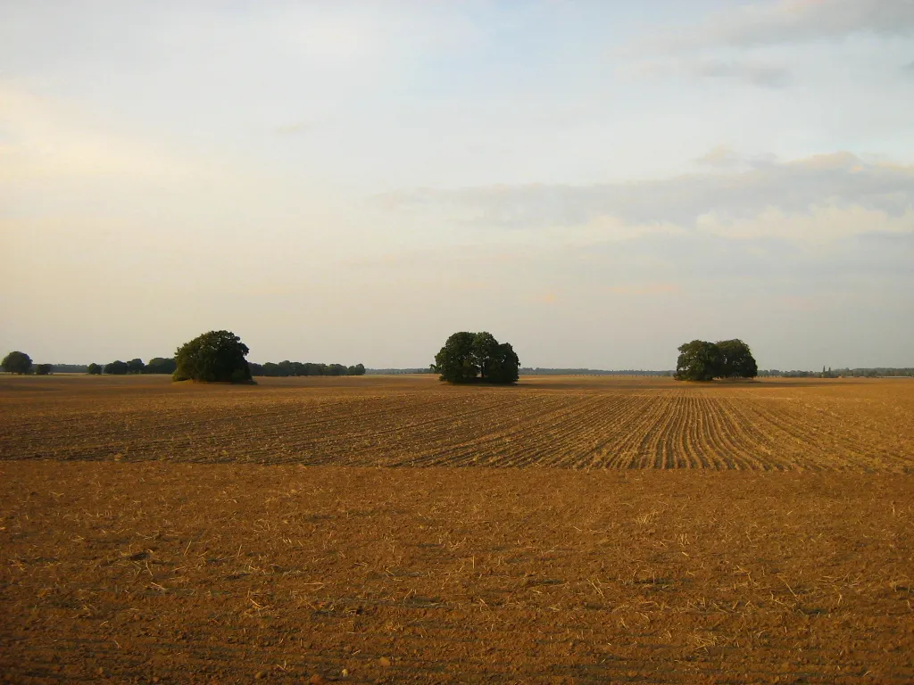 Photo showing: Vier Großsteingräber in der Feldmark der Gemeinde Gnewitz, (Landkreis Bad Doberan, Mecklenburg) - von links nach rechts „Gnewitz 1“ bis „4“ bzw. nach Sprockhoff Nr. 350 bis 352 (Nr 4 ist hier vielleicht nicht benummert?) [1]