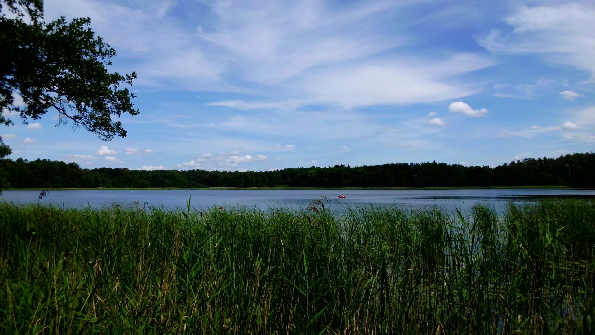 Photo showing: Der Zierzsee in der Neustrelitzer Kleinseenplatte bei Kakeldütt im Müritz-Nationalpark. Er wird von der Havel durchflossen (Mecklenburgische Seenplatte District, Mecklenburg-Western Pomerania).