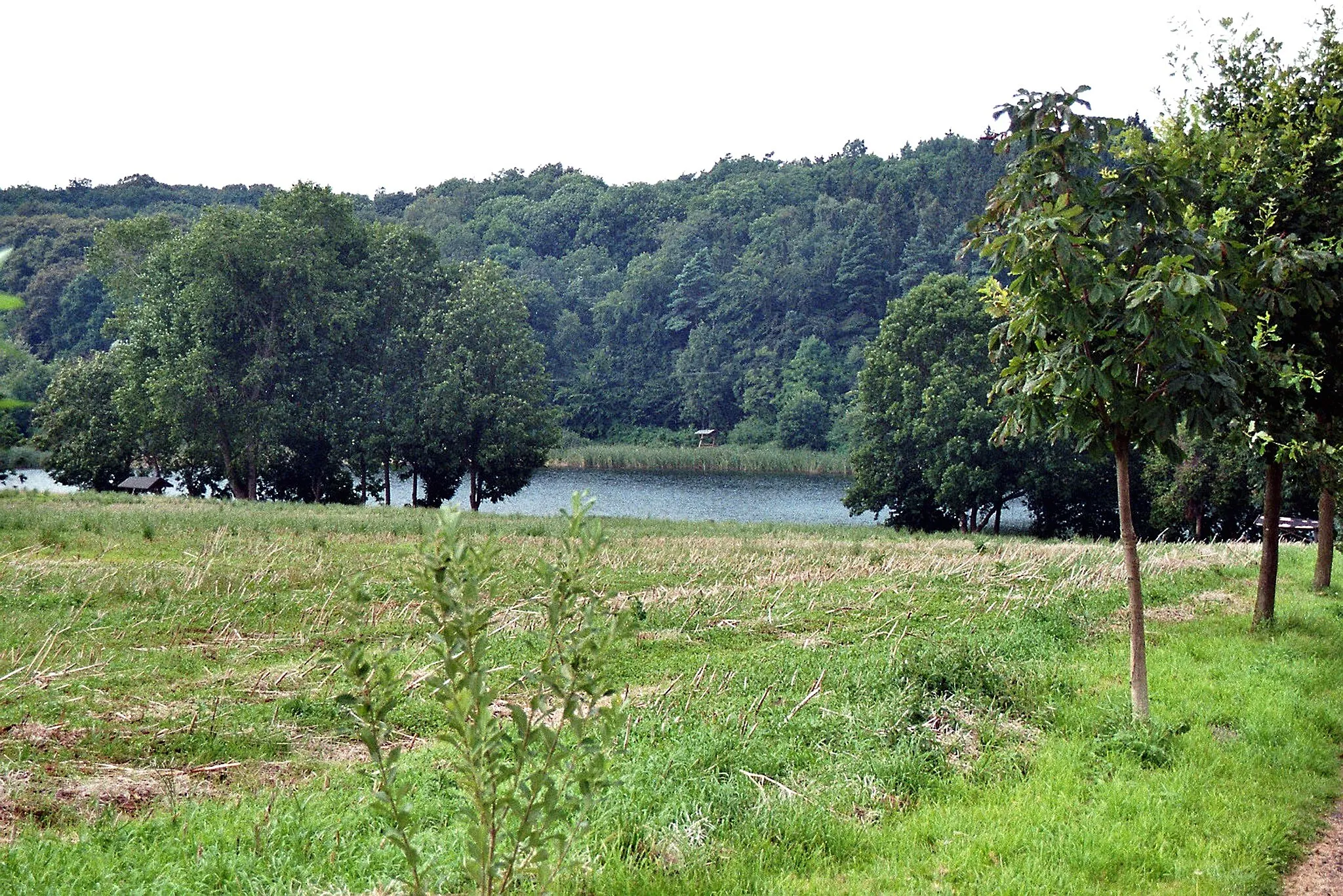 Photo showing: Lapitz (Kuckssee), view to the salt lake