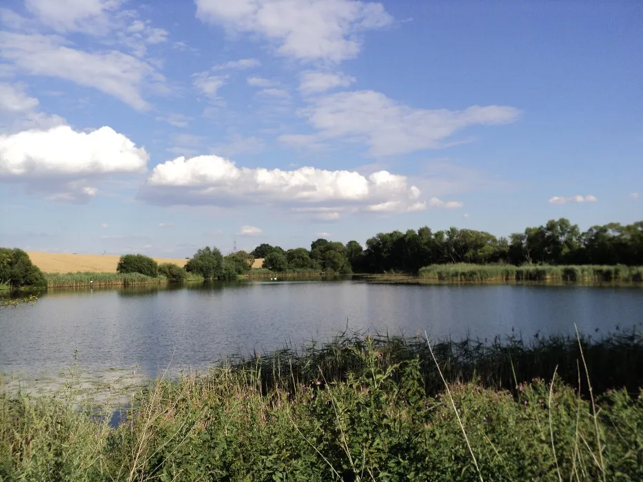 Photo showing: Der Kleine See, vom Westufer gesehen