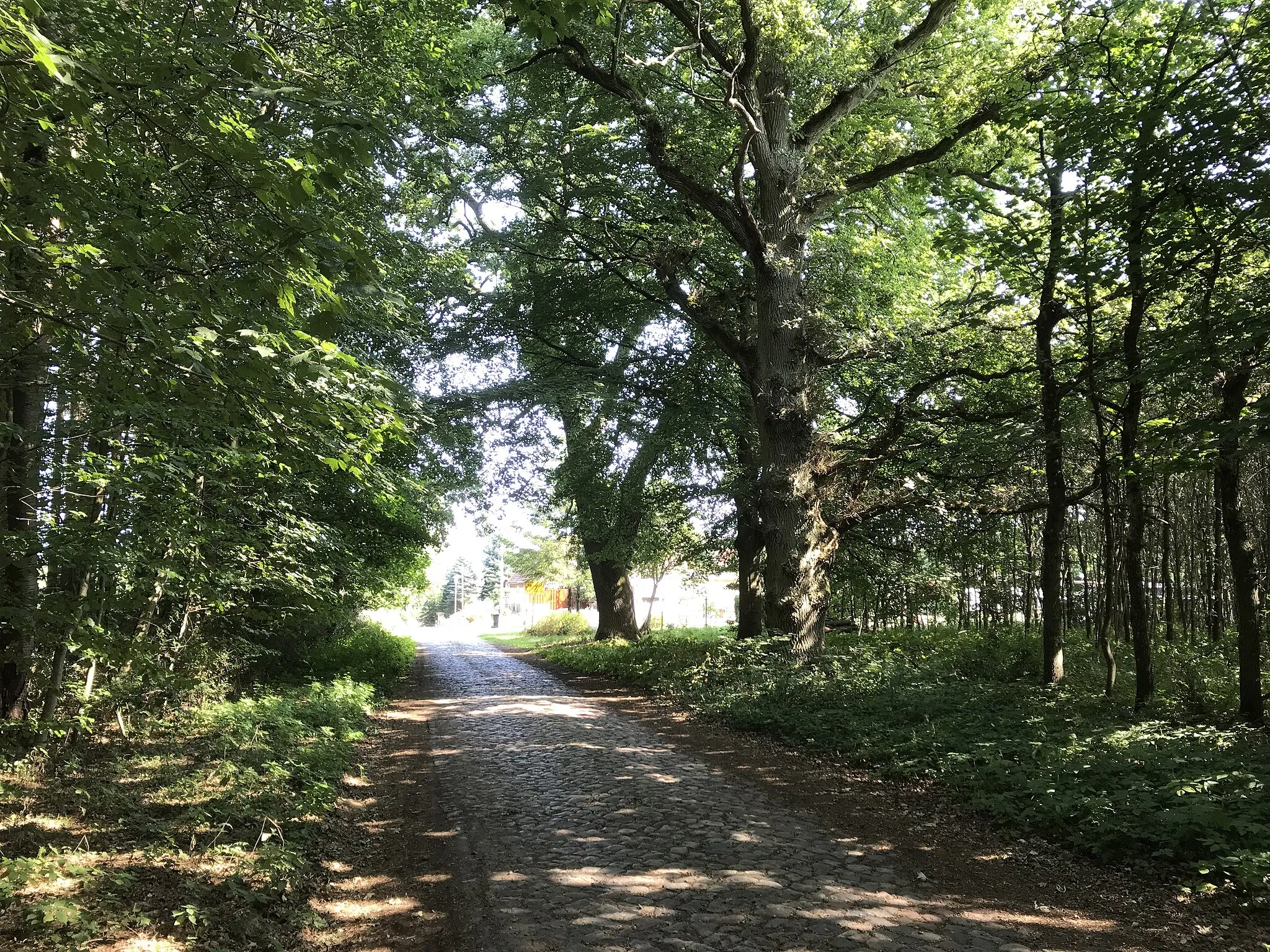 Photo showing: südlicher Ortsteingang von Jägerhof, ein Ortsteil der Gemeinde Katzow in Mecklenburg-Vorpommern