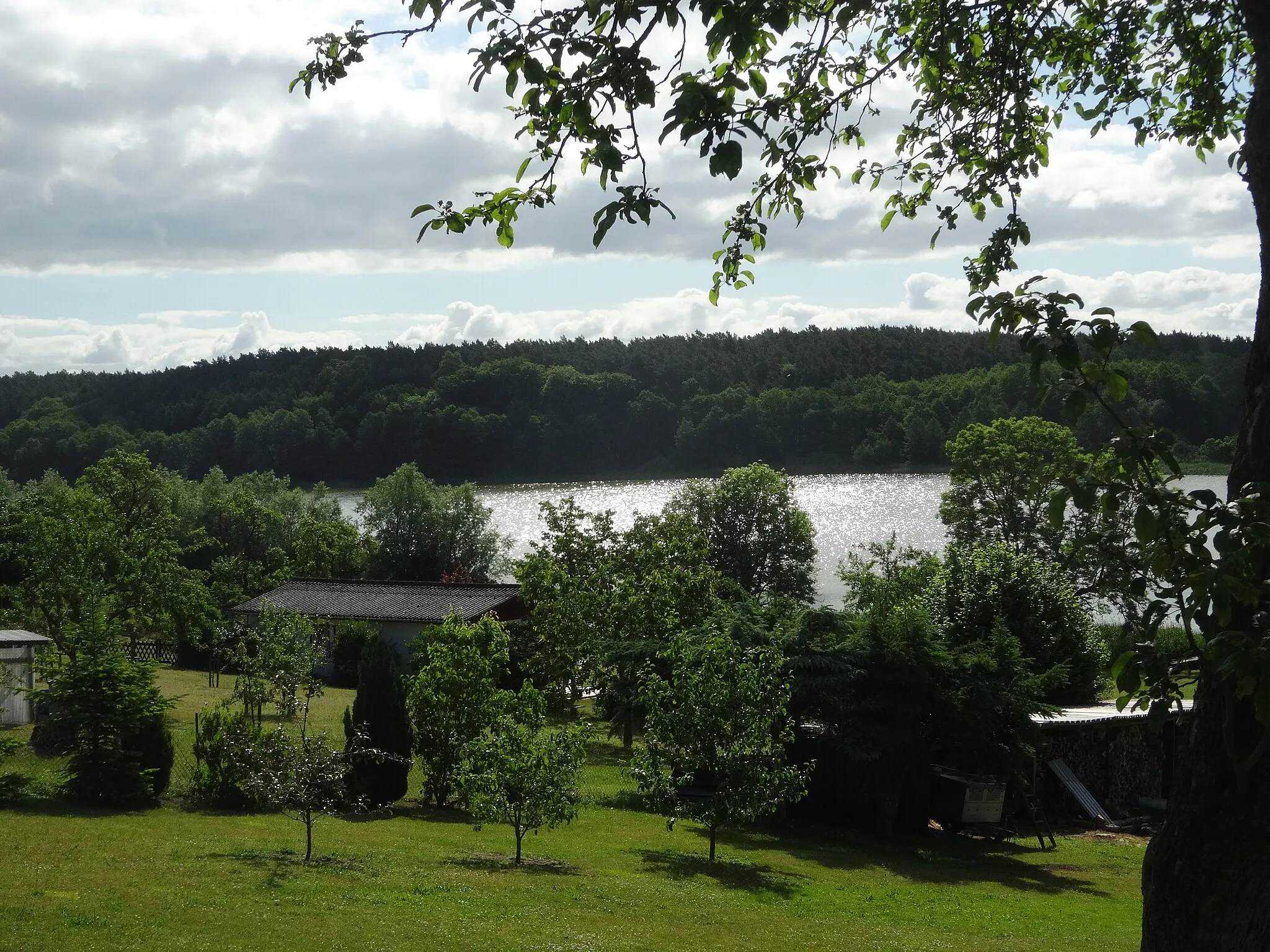 Photo showing: Lake at Groß Raden, Mecklenburg-West Pomerania