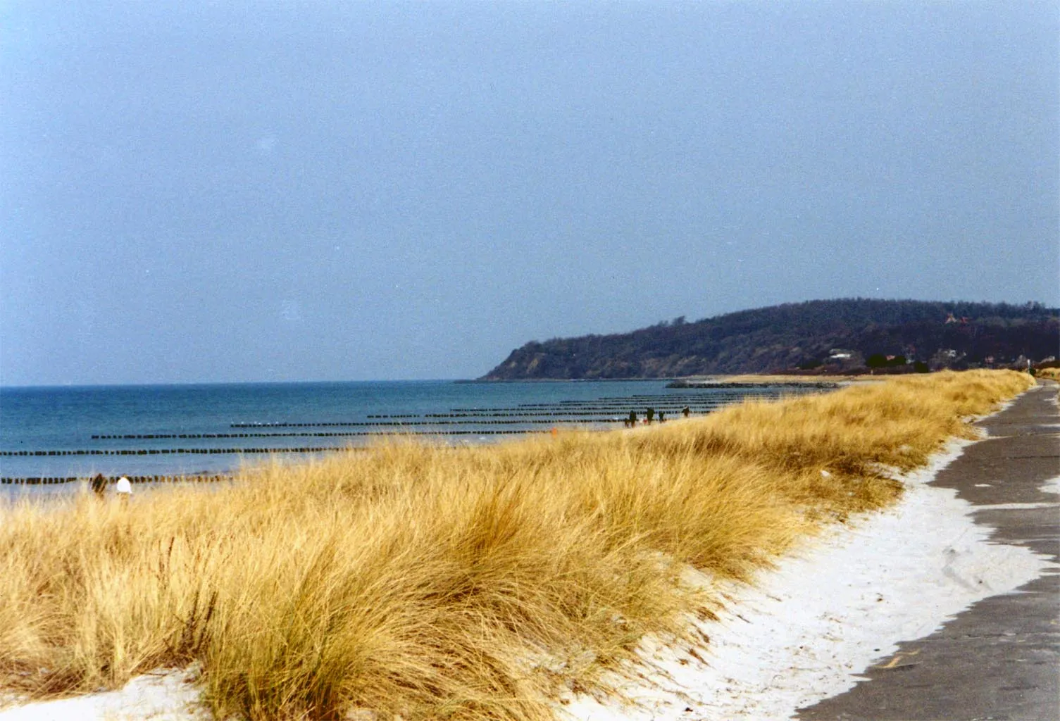 Photo showing: dunes on Hiddensee