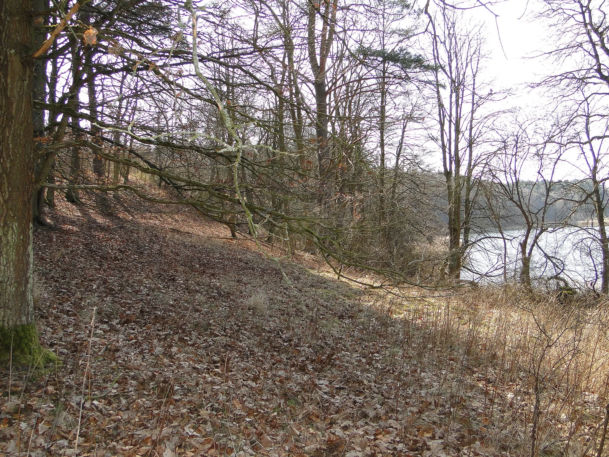 Photo showing: Embankment at lake "Kleestener See" in Kleesten, district Parchim, Mecklenburg-Vorpommern, Germany
