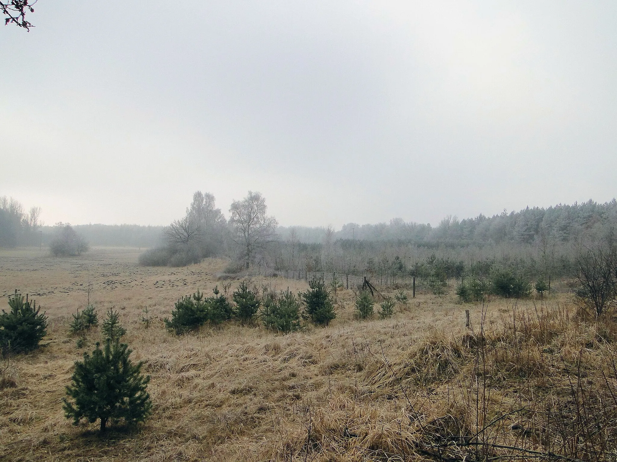 Photo showing: Landscape in Neu Schwinz, district Parchim, Mecklenburg-Vorpommern, Germany