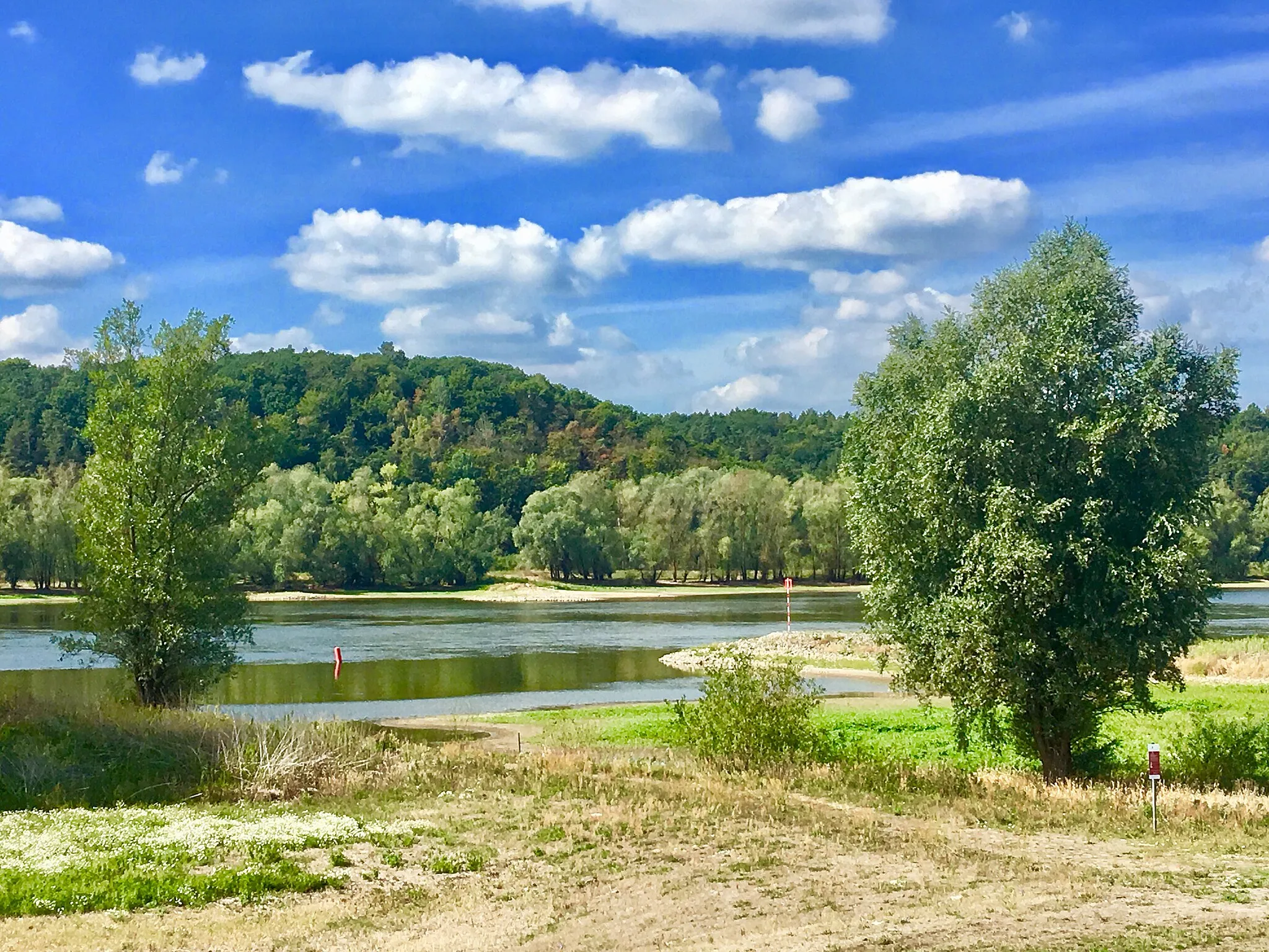 Photo showing: Elbe bei Niedrigwasser Sommer 2018