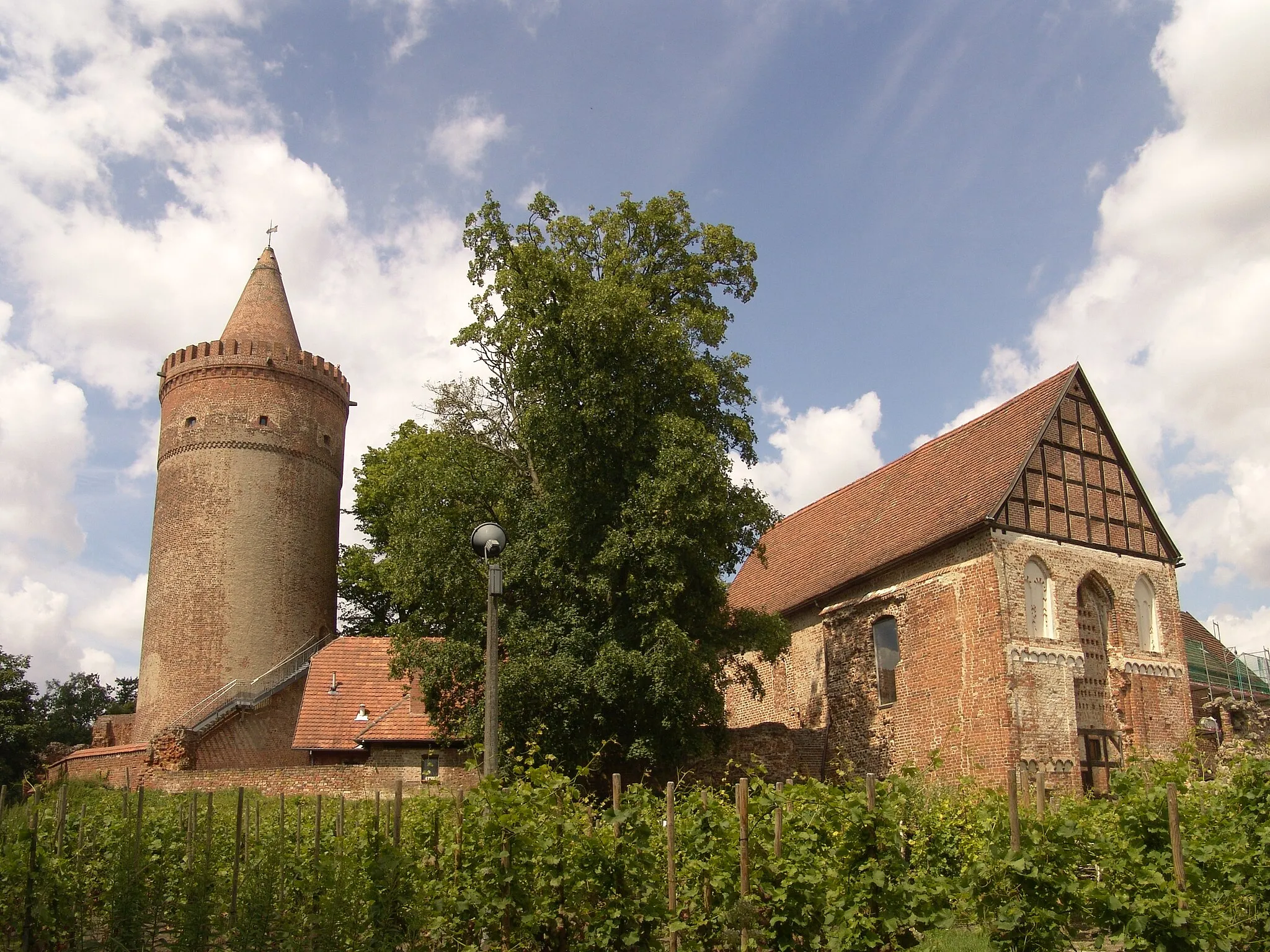 Photo showing: Burg Strargard