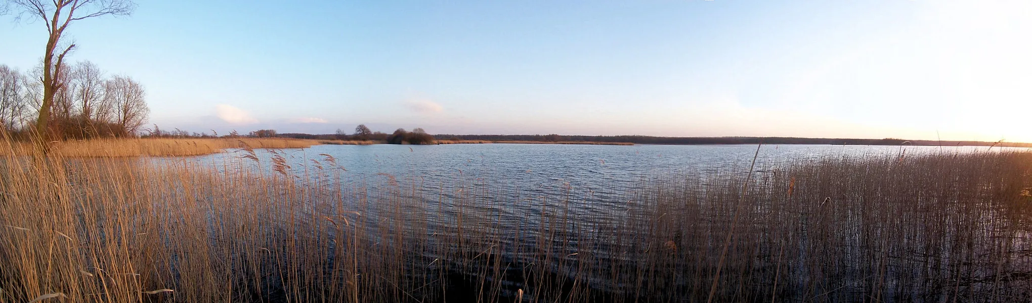 Photo showing: Blick auf das Südufer des Conventer Sees
