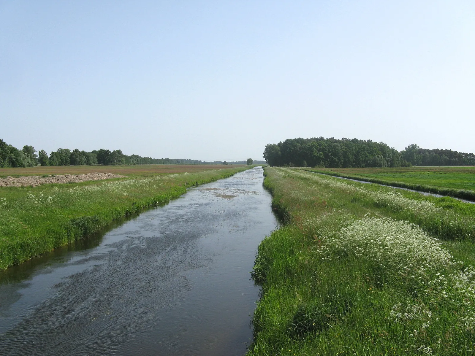 Photo showing: Rögnitz river between Leussow and Menkendorf, district Ludwigslust-Parchim, Mecklenburg-Vorpommern, Germany