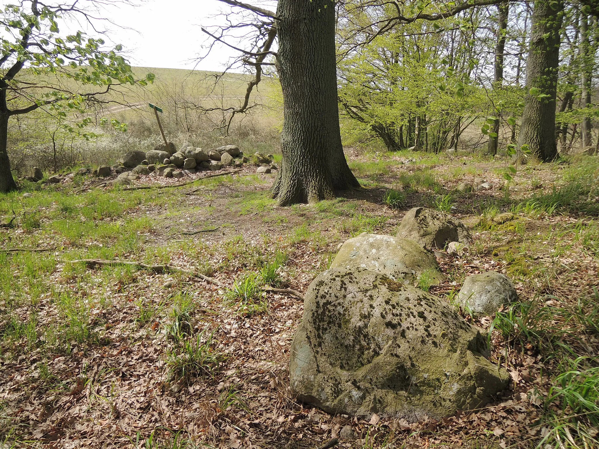 Photo showing: Probable remains of the megalithic tomb Groß Ridsenow