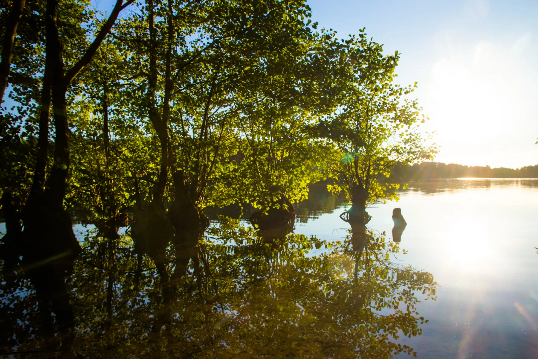 Photo showing: Sonnenuntergang am Neumühler See bei Friedrichsthal