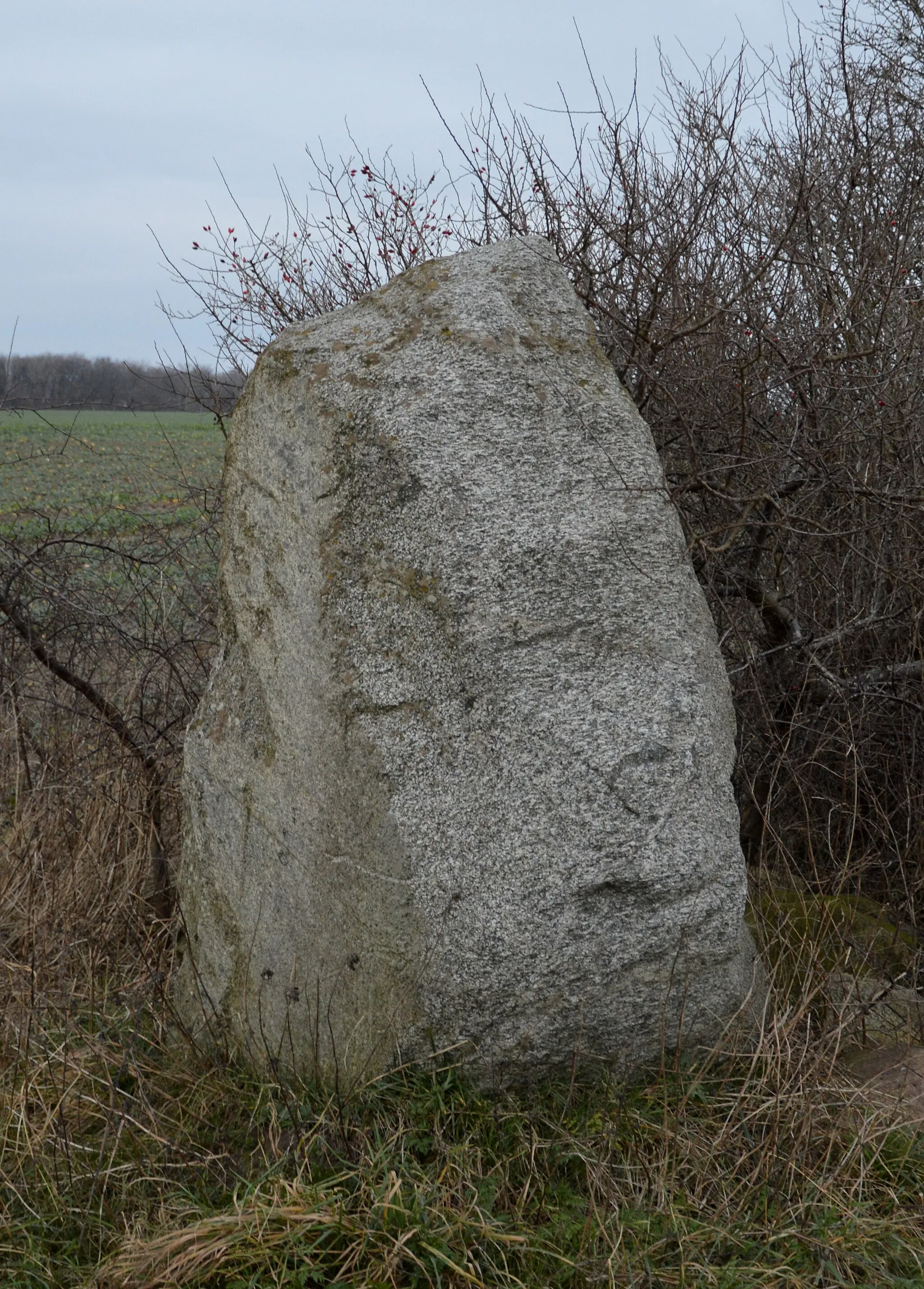 Photo showing: Sagenstein bei Serams