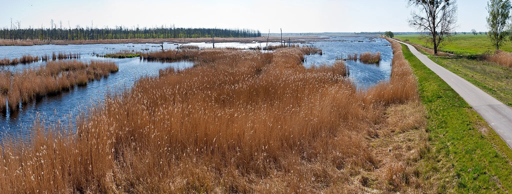 Photo showing: Landschaftsschutzgebiet "Unteres Peenetal"; Blick auf Naturschutzgebiet "Anklamer Stadtbruch"; Radfernweg Berlin–Usedom