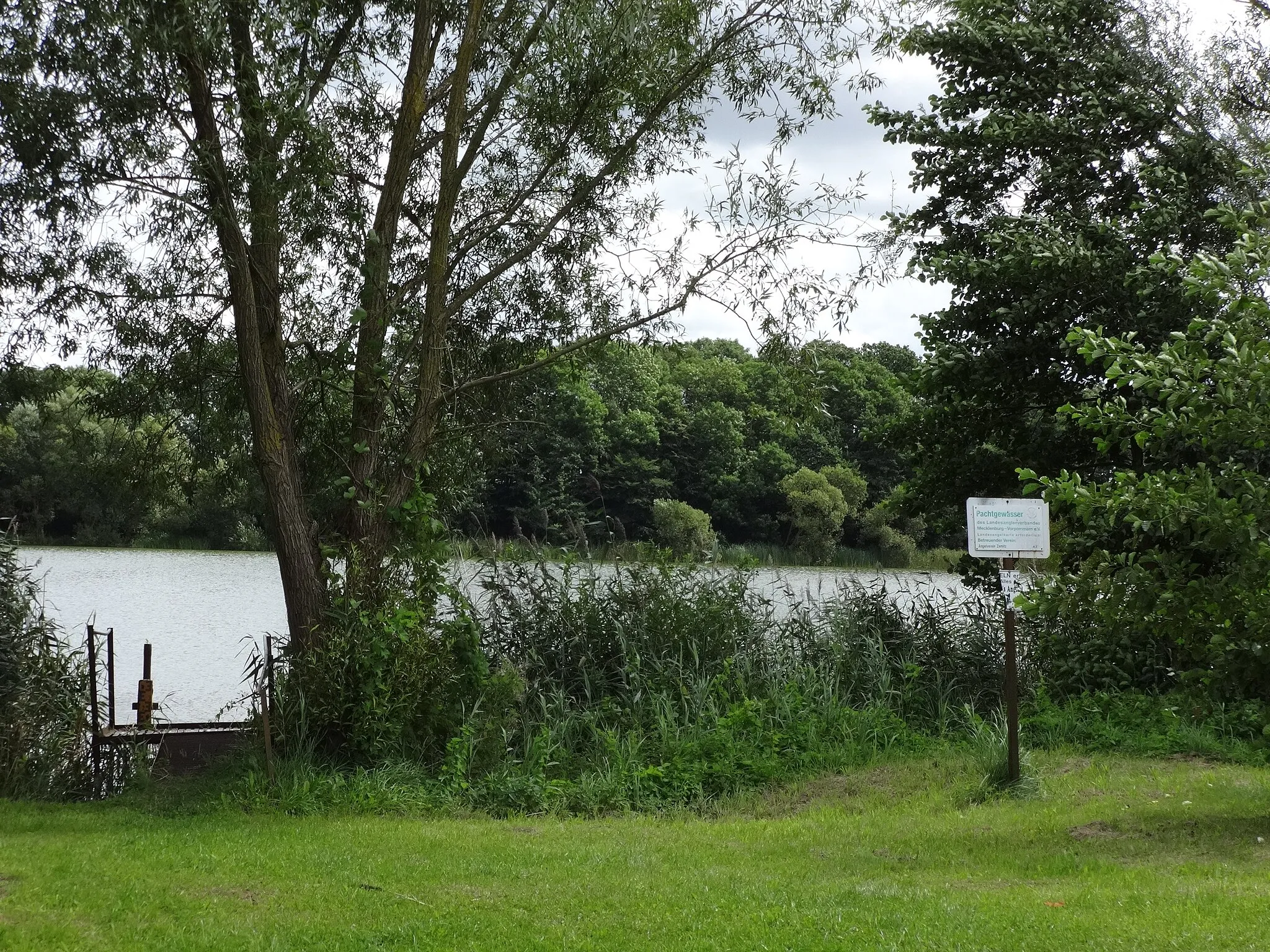 Photo showing: Blick auf den Hohen See in Hohensee, ein Ortsteil von Zemitz, Vorpommern-Greifswald