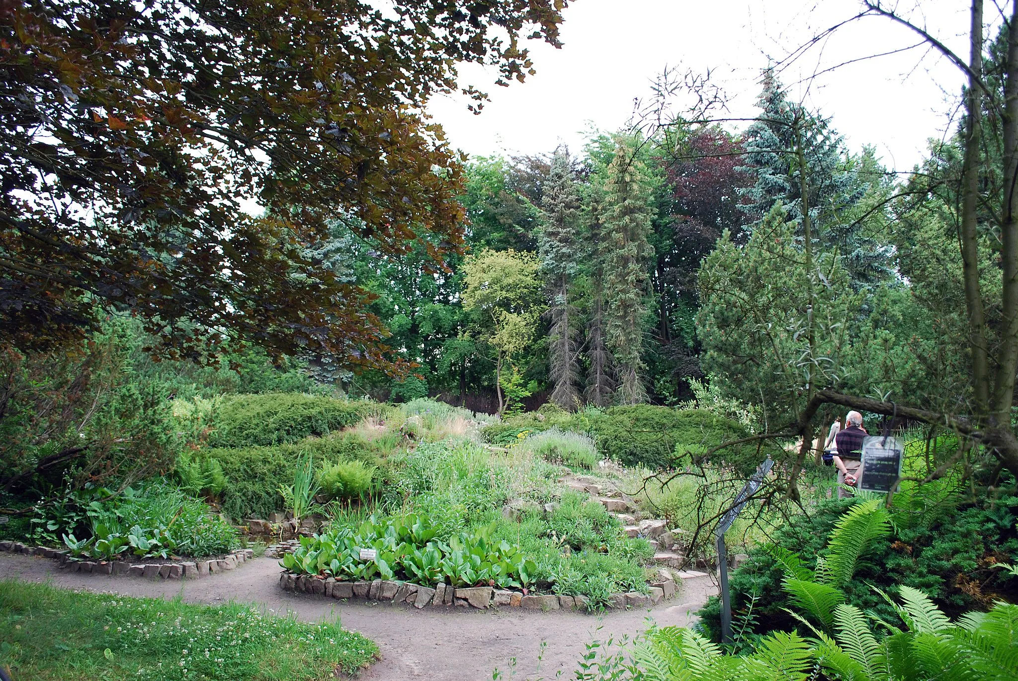 Photo showing: Alpinarium in Arboretum in Rogow