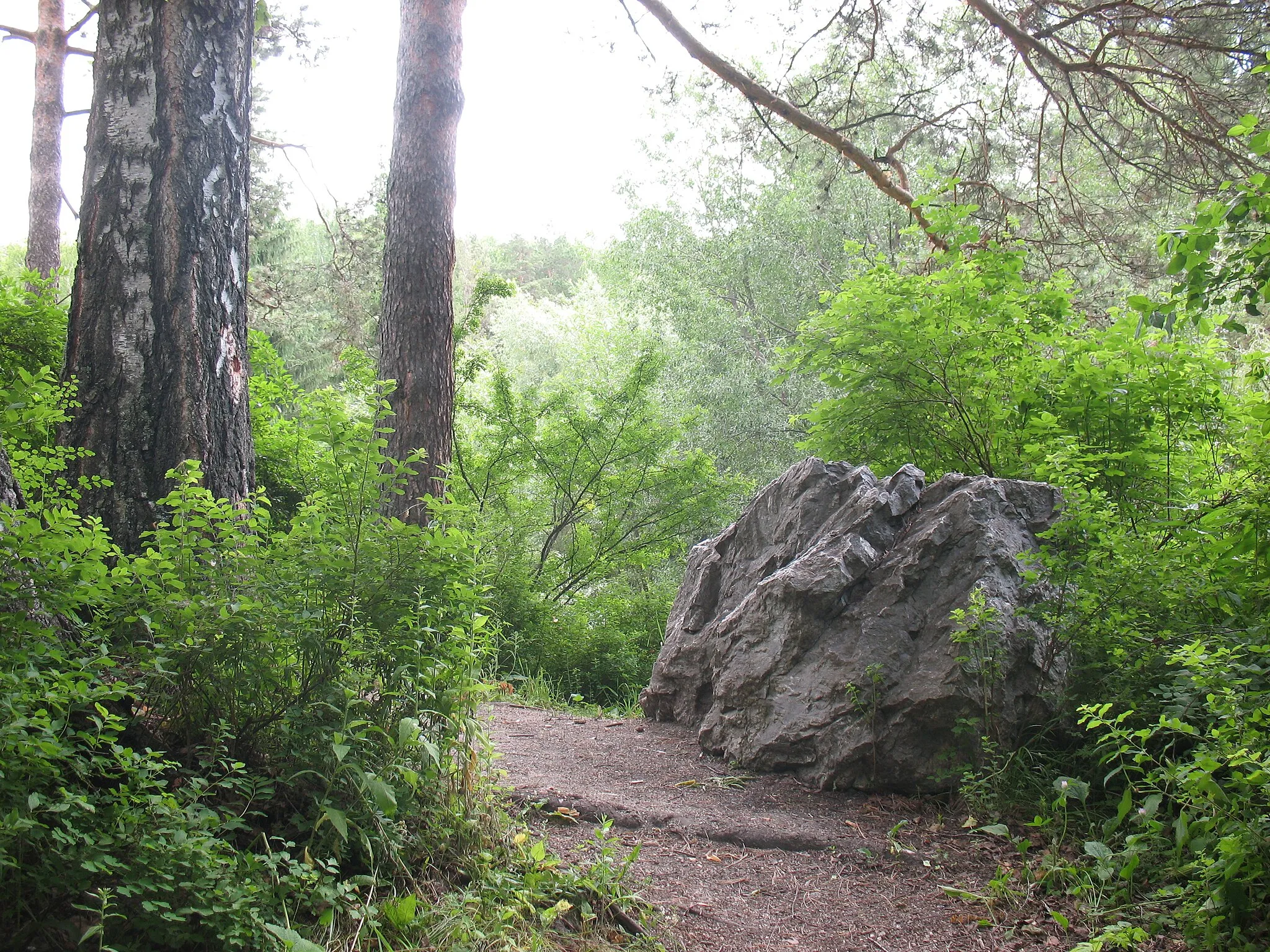 Photo showing: Alpine garden of the Central Siberian Botanical Garden.jpg