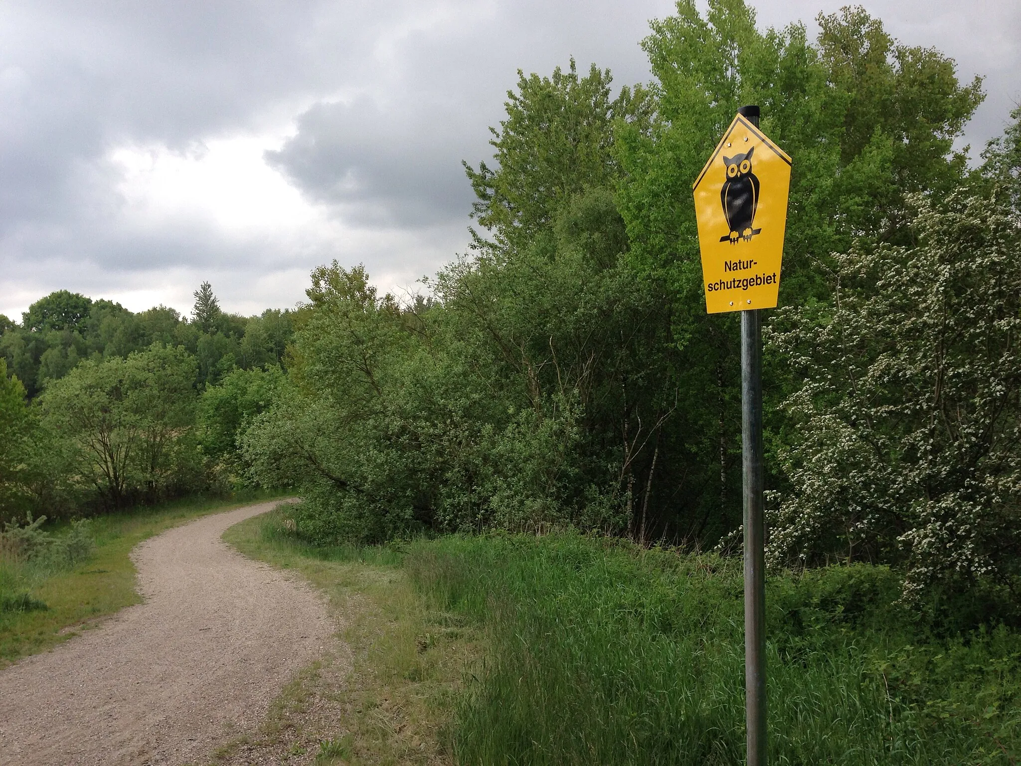 Photo showing: Nature reserve Kiesgrube Wüstmark in Schwerin, Mecklenburg-Vorpommern, Germany