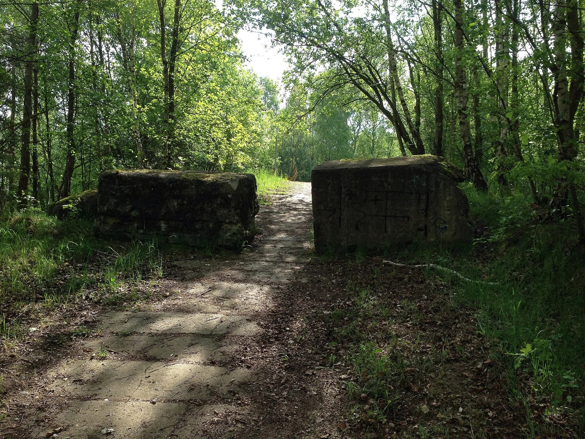 Photo showing: Nature reserve Kiesgrube Wüstmark in Schwerin, Mecklenburg-Vorpommern, Germany