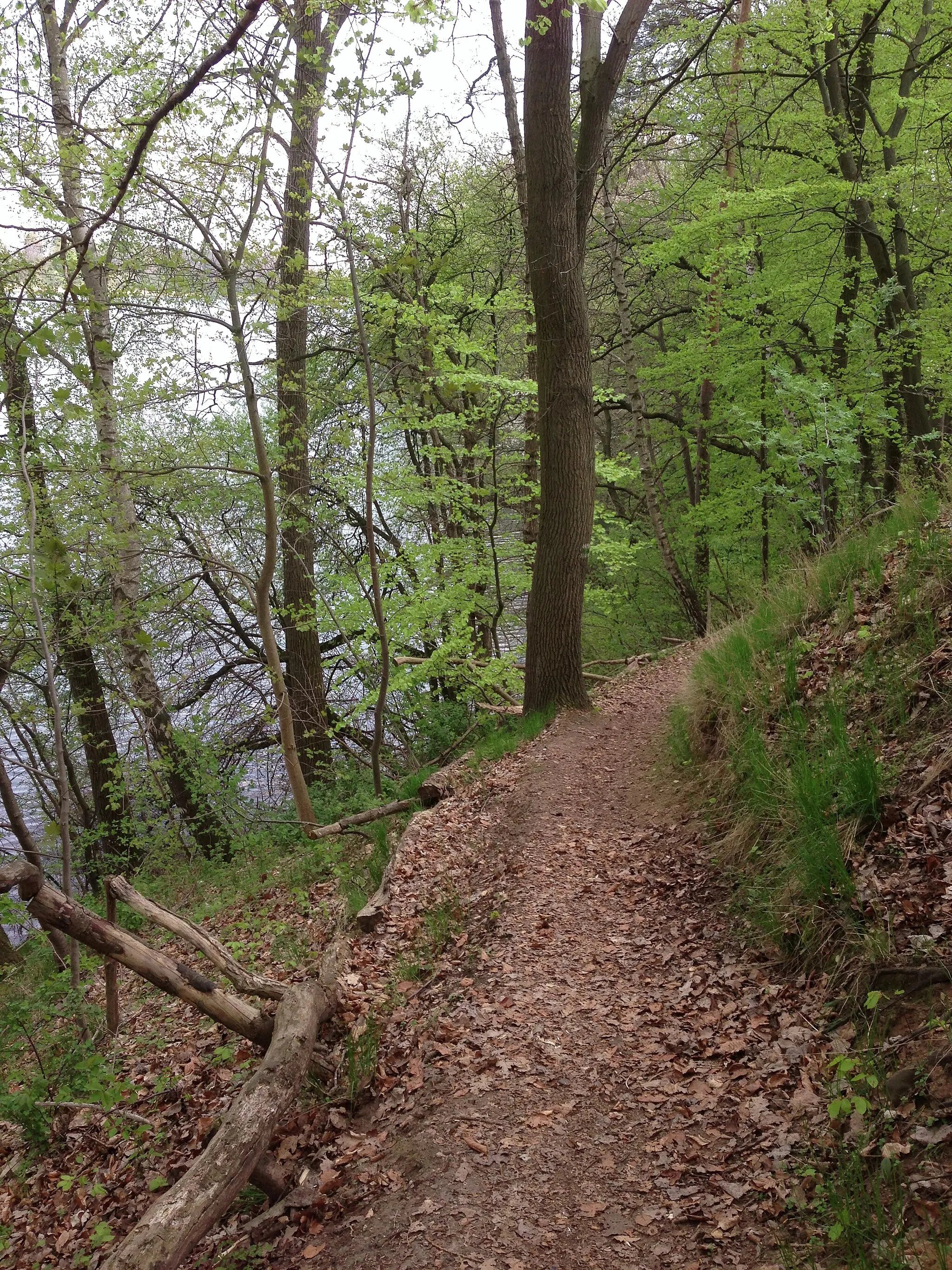 Photo showing: Way at Lake Neumühle in Schwerin, Mecklenburg-Vorpommern, Germany