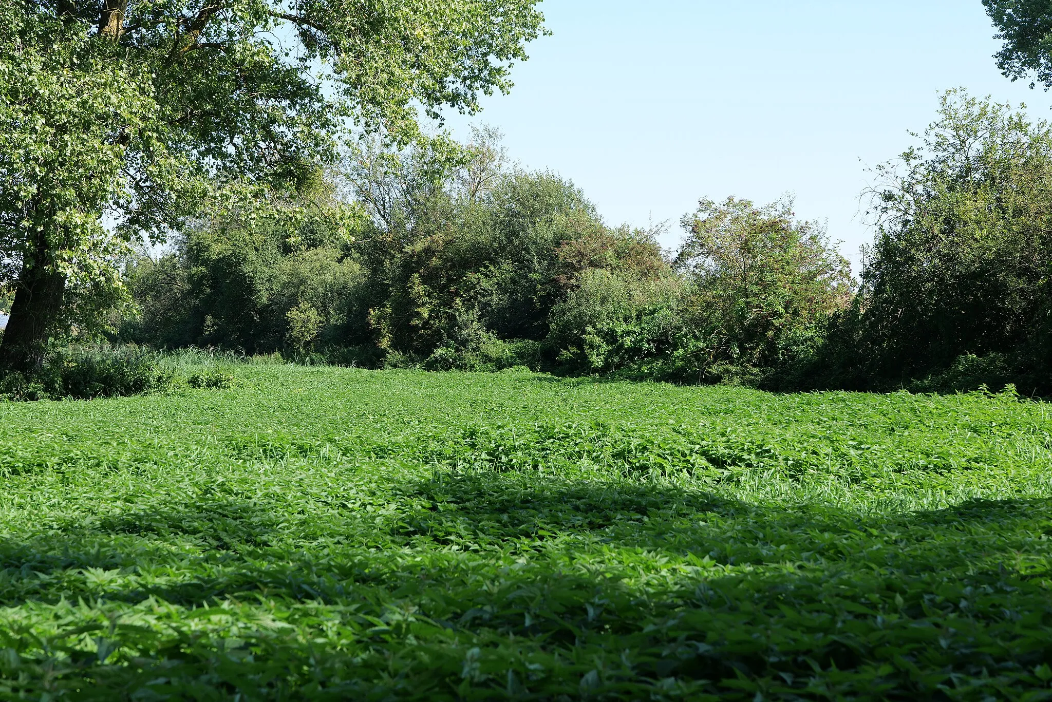 Photo showing: Ortsteil Am Strauchwerder in Malchin.