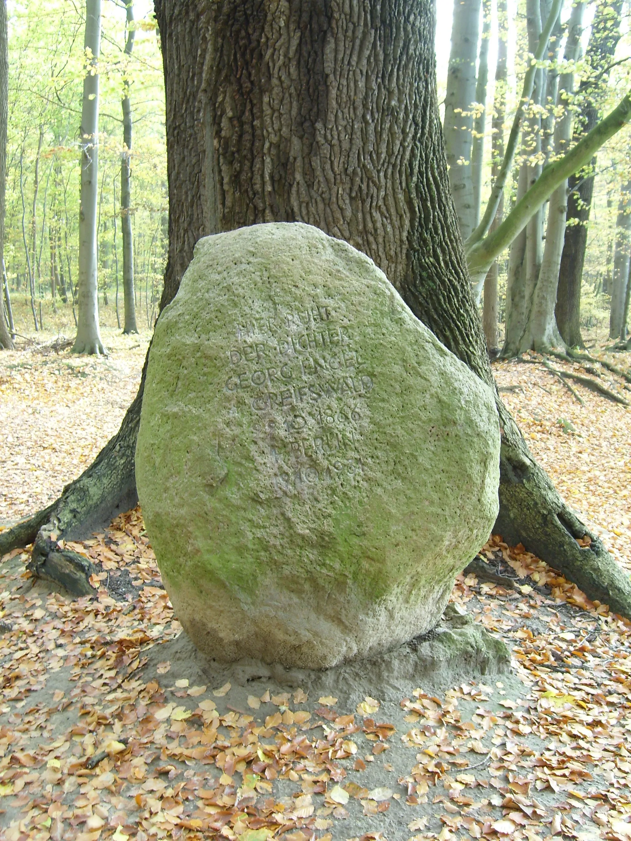 Photo showing: Gravestone of Georg Engel at the nature reserve "Eldena" in Greifswald, Germany