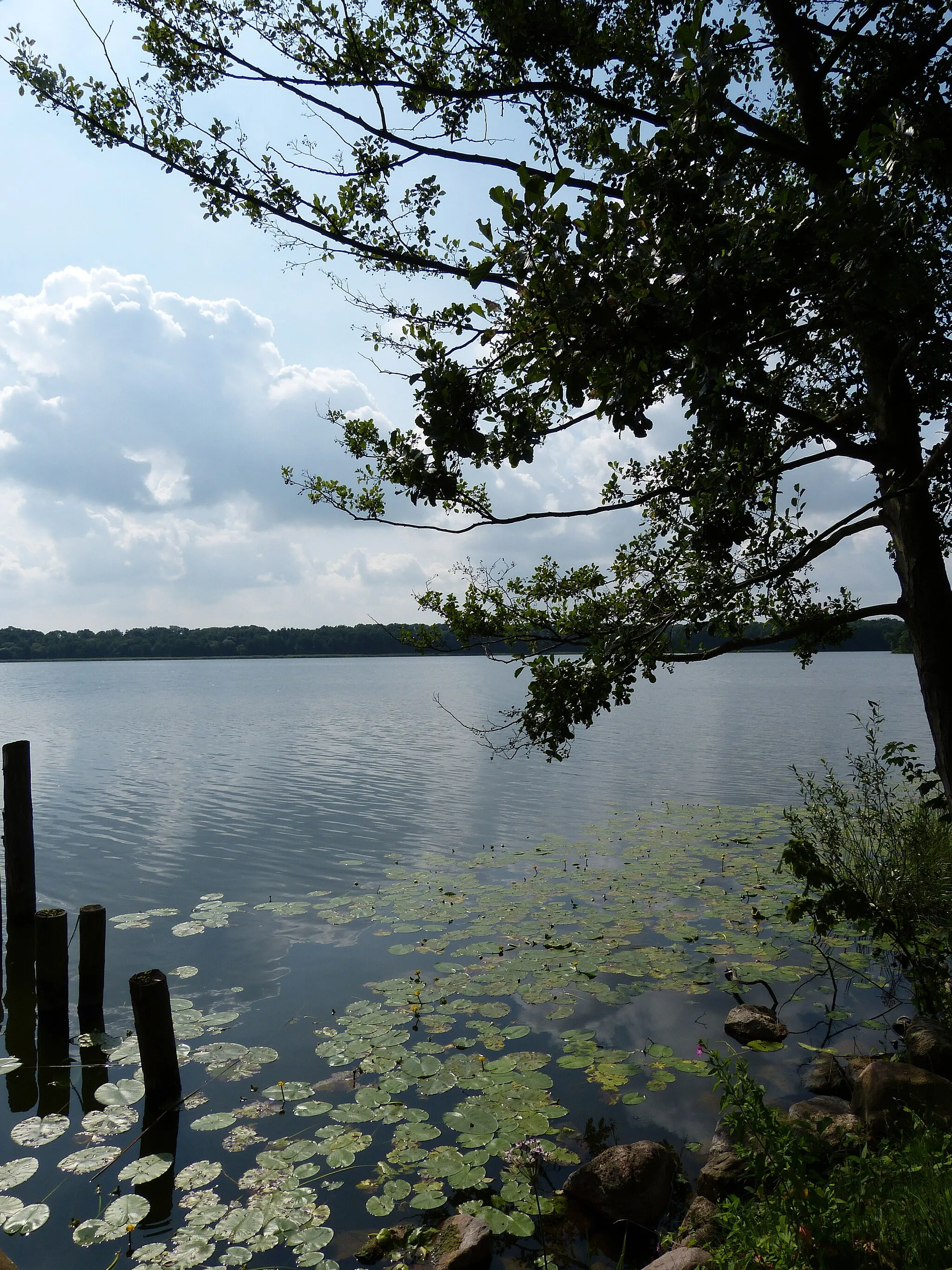 Photo showing: Dobbertin ( Mecklenburg ). Lake Dobbertin near the monastery.