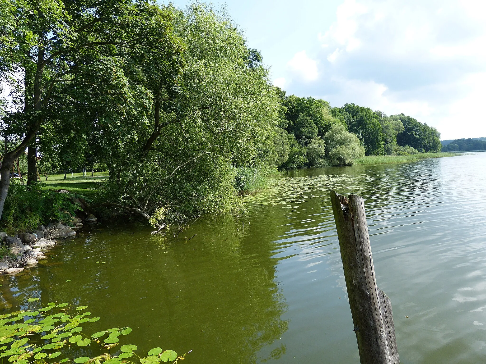 Photo showing: Dobbertin ( Mecklenburg ). Lake Dobbertin near the monastery.