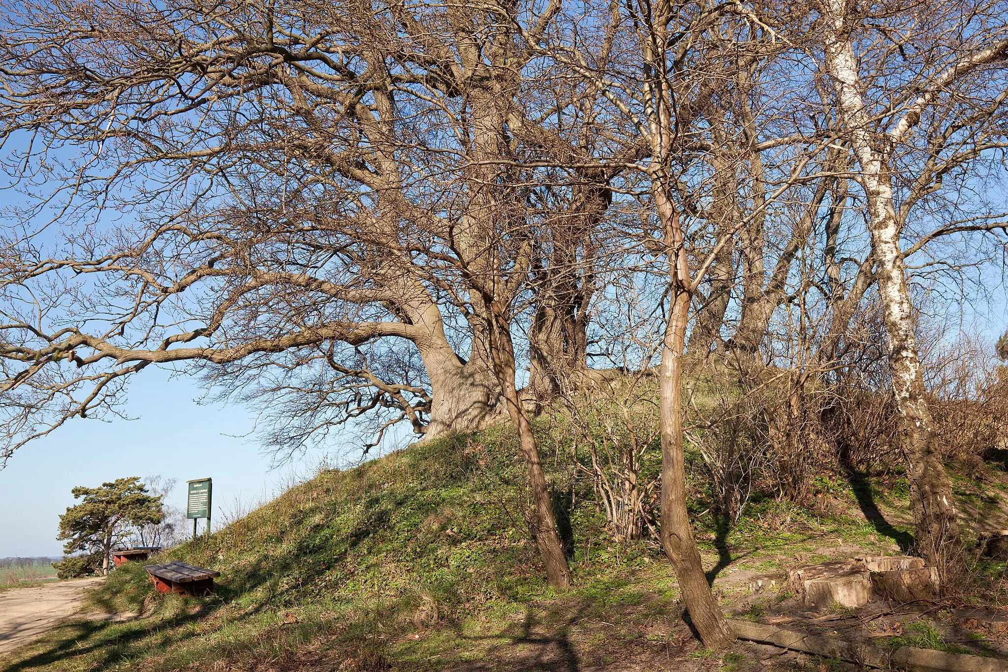 Photo showing: Speckbusch, Tumulus in Göhren, Rügen island, Germany