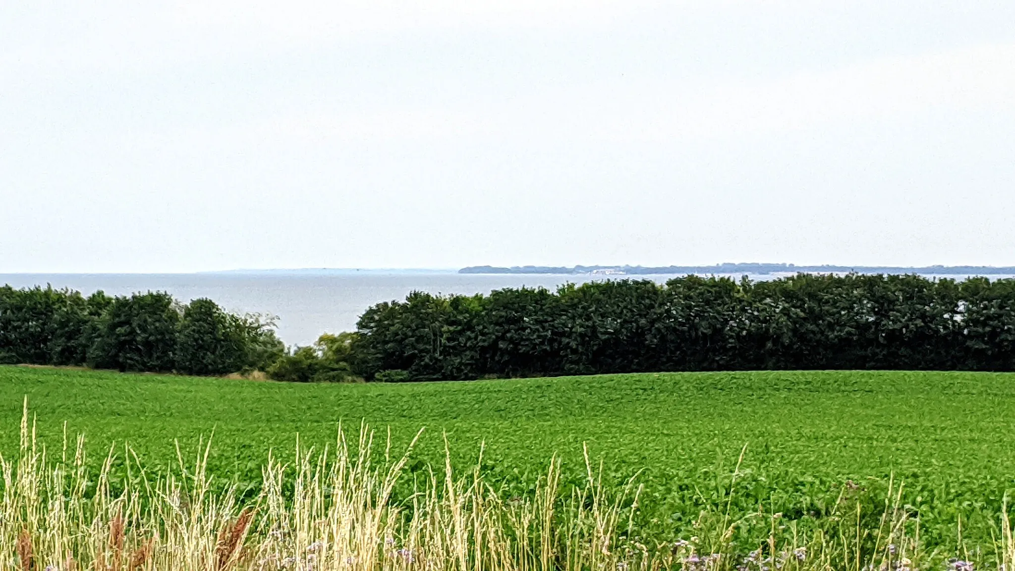 Photo showing: Wohlenberger Wiek, Fernansicht aus Richtung Klütz