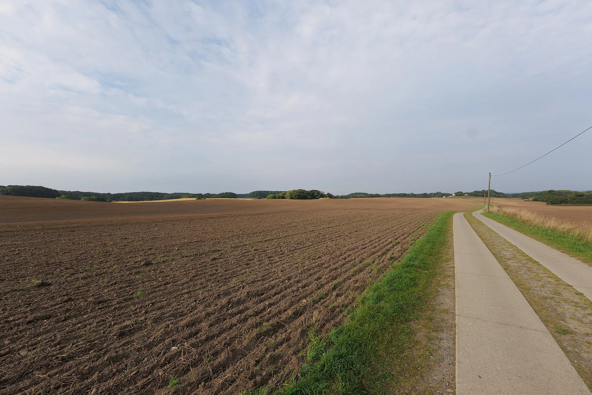 Photo showing: Feld nahe dem Ortsteil Nipmerow von Lohme.