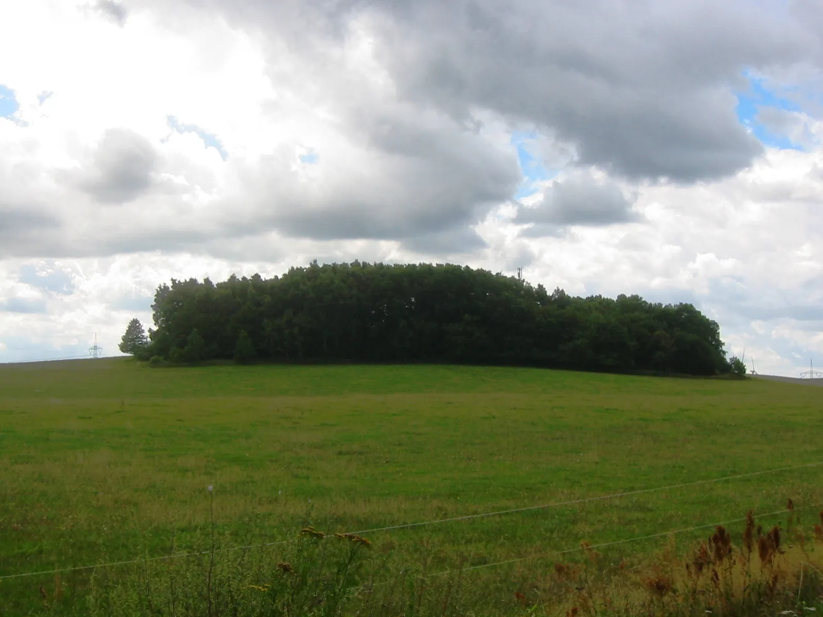 Photo showing: Hoher Berg in Wusterhusen, eine 44 Meter hohe Erhebung in Vorpommern-Greifswald, Mecklenburg-Vorpommern