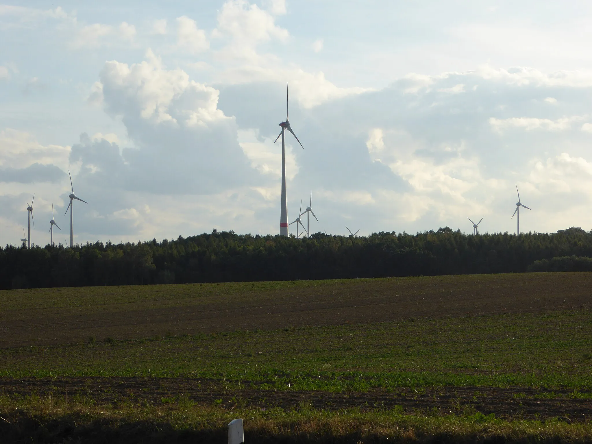 Photo showing: Windkraftanlagen (WKA) in Brandenburg