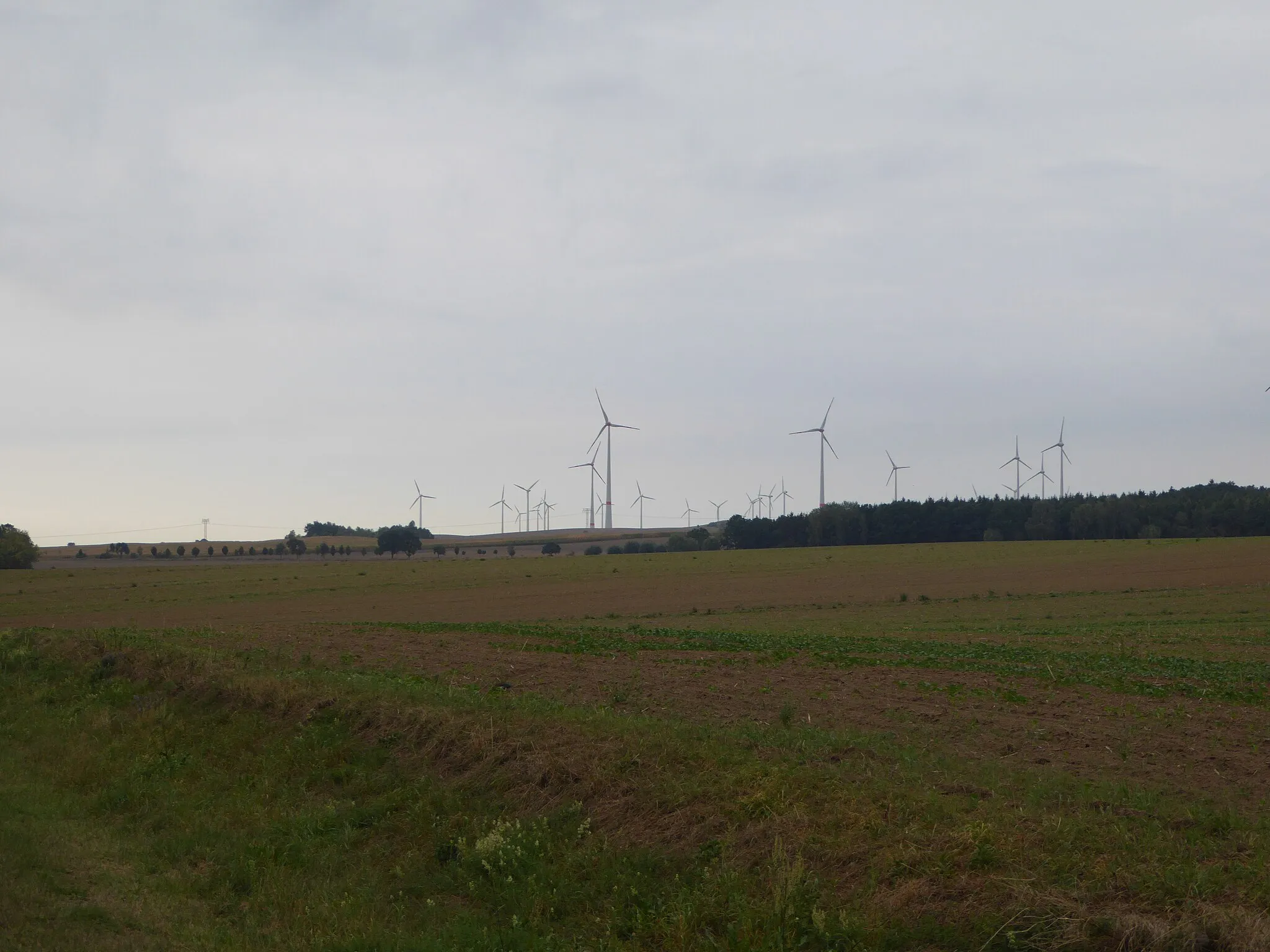 Photo showing: Windkraftanlagen (WKA) in Brandenburg