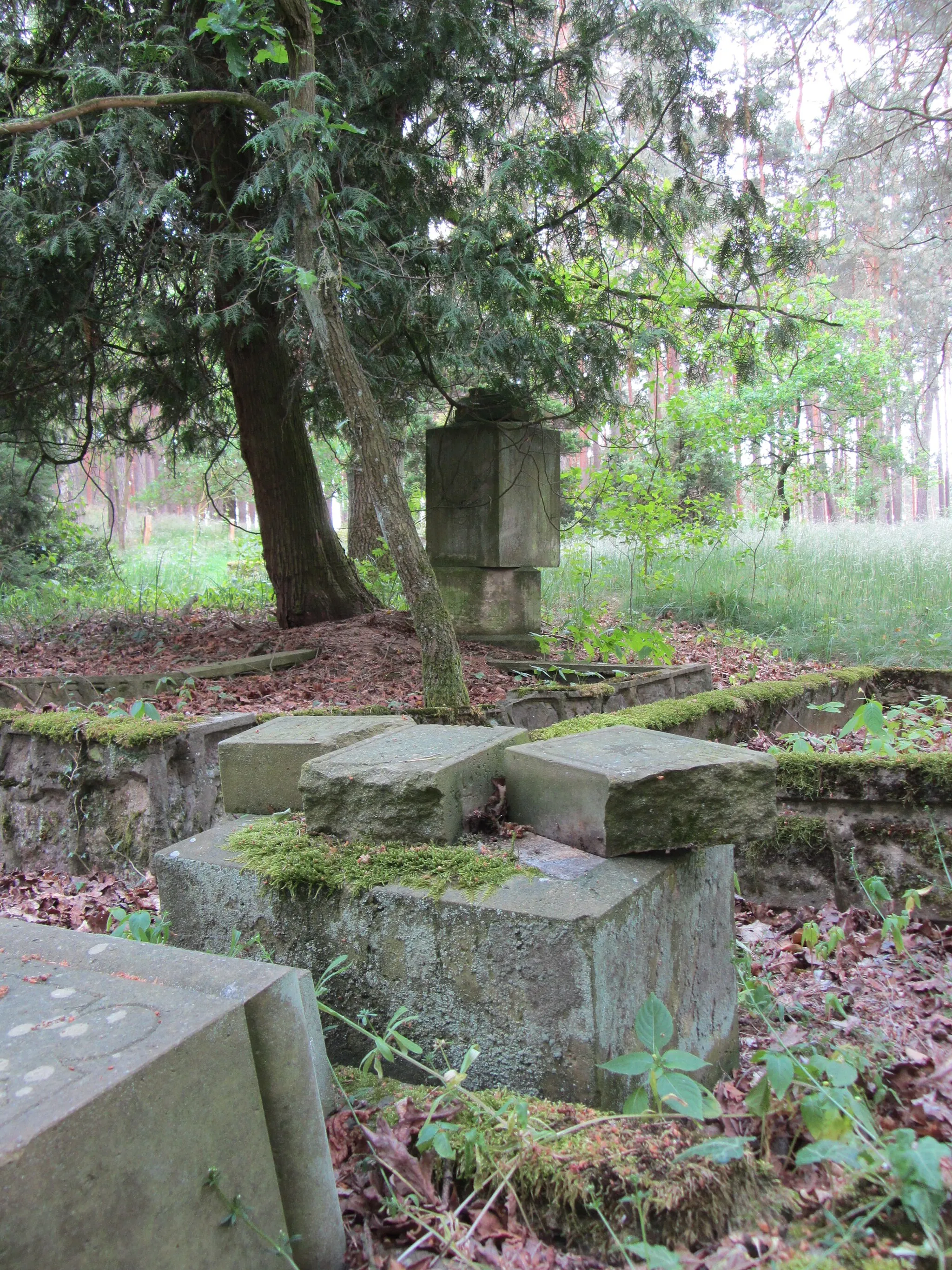 Photo showing: Old, overgrown cemetery in Klein Laasch, district Ludwigslust-Parchim, Mecklenburg-Vorpommern, Germany