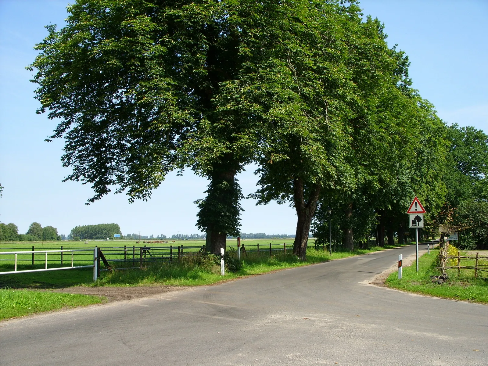 Photo showing: Landscape "Lewitz" at Tuckhude, Germany