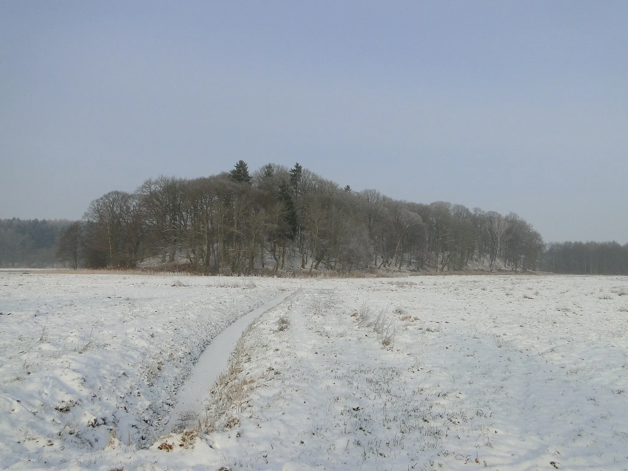 Photo showing: Nature reserve Moorrinne von Klein Salitz bis zum Neuenkirchener See in Neuenkirchen (Zarentin am Schaalsee), district Ludwigslust-Parchim, Mecklenburg-Vorpommern, Germany