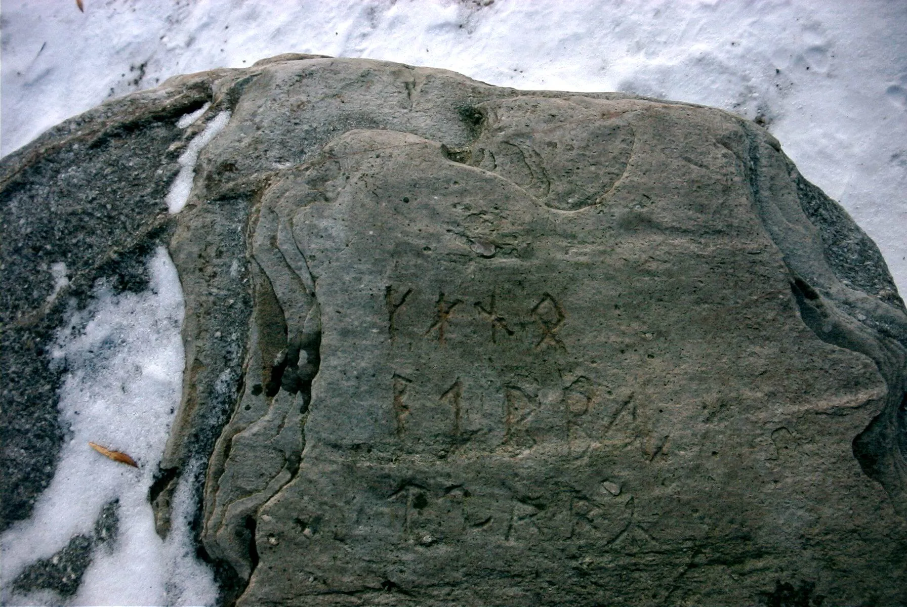 Photo showing: Seltener Runenstein im Gesteinsgarten Neu Pudagla
