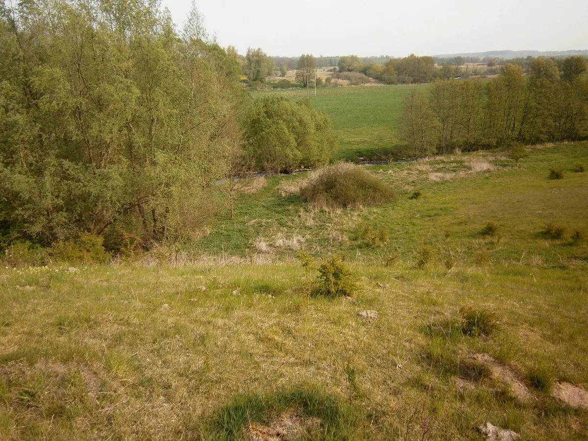 Photo showing: Blick vom Turmhügel zum Malliner Wasser