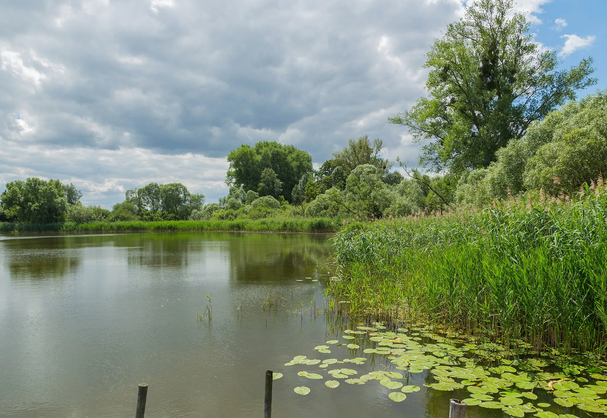 Photo showing: This is a picture of the protected area listed at WDPA under the ID