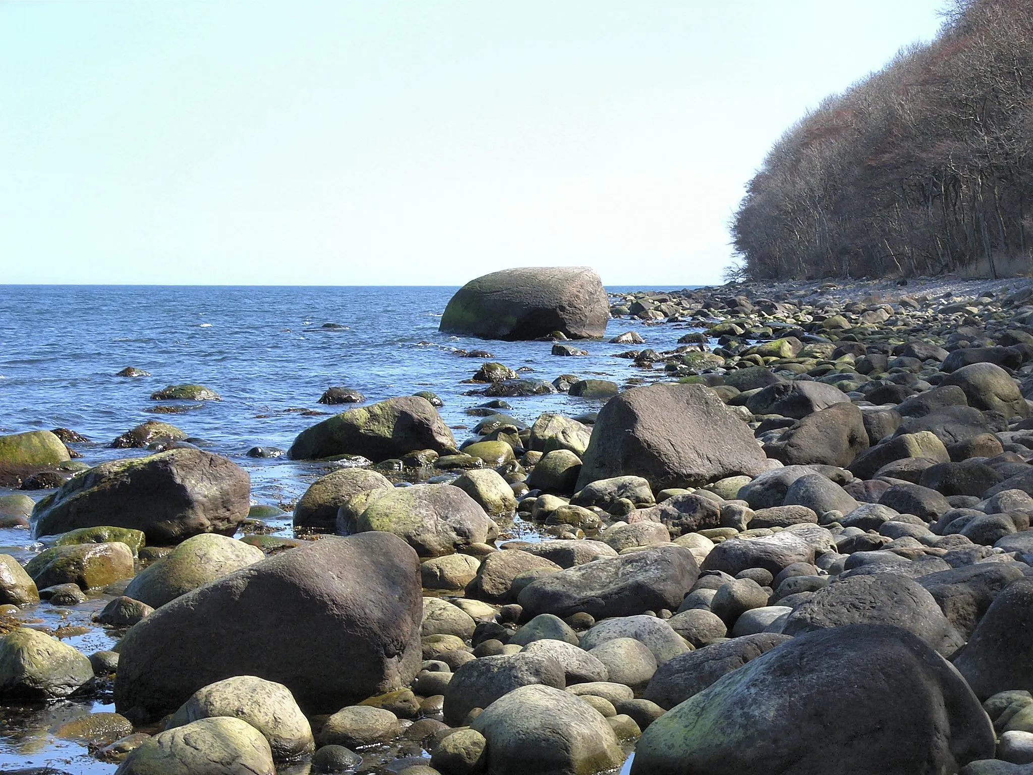 Photo showing: Glacial erratic near Blandow on island Rügen