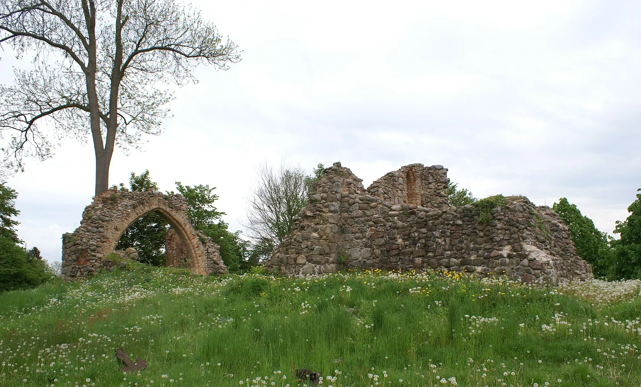 Photo showing: Karlsburg (Landkreis Ostvorpommern) - Ortsteil Steinfurth - Kirchenruine