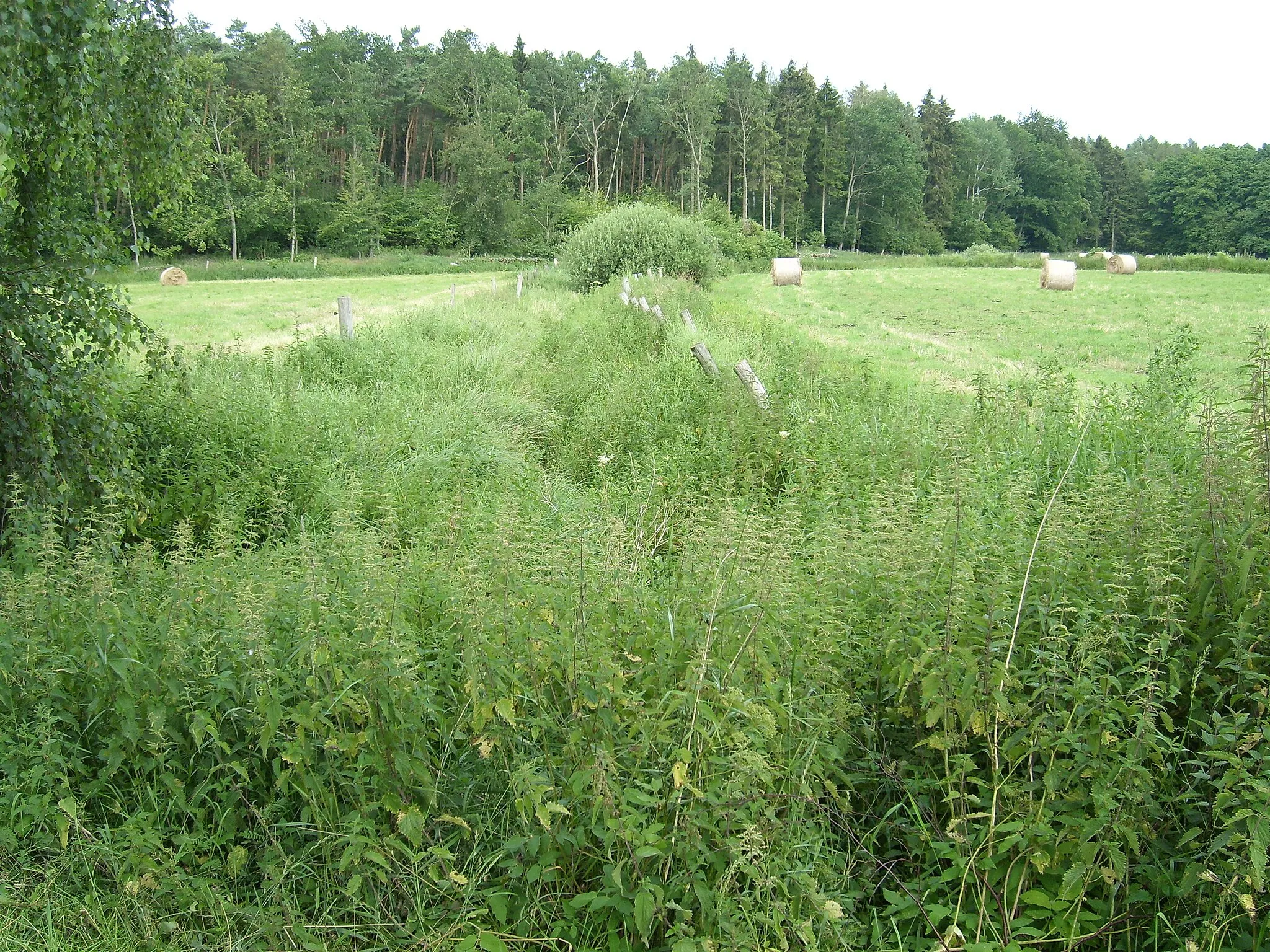 Photo showing: Der Beginn des Brebowbaches in Karlsburg-Steinfurth vom Feldweg aus nach Nordosten gesehen. Der Oberlauf wird als vertiefter Graben unterhalten.